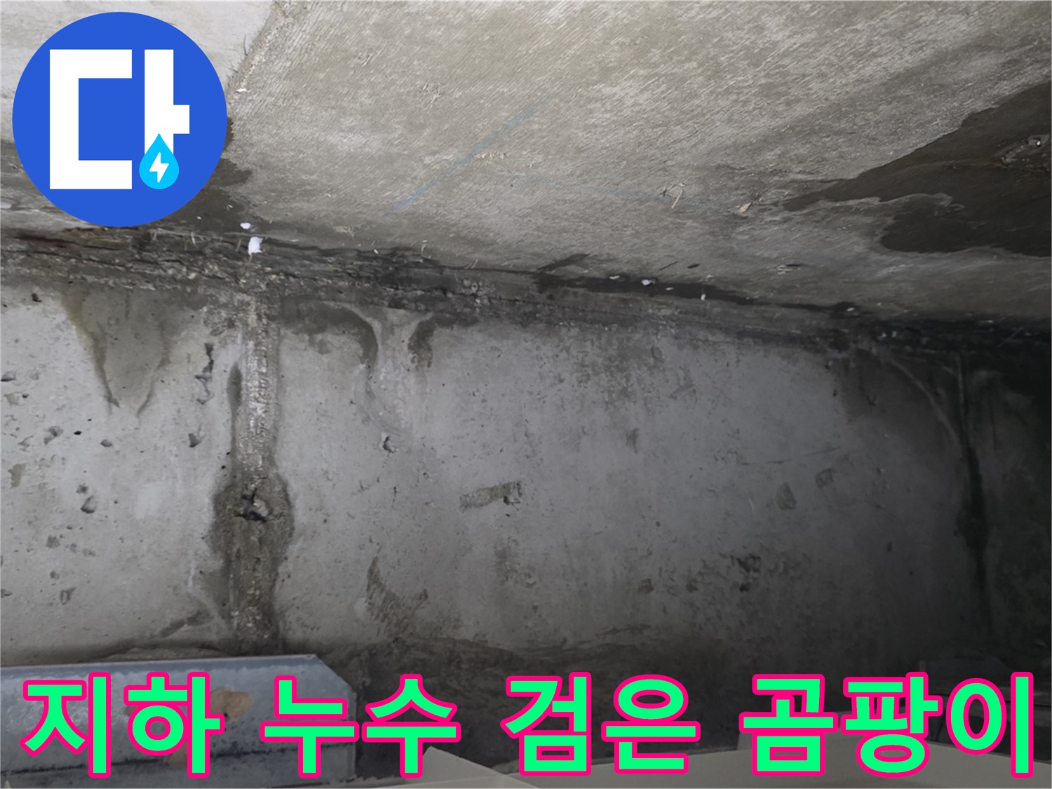 남양주 건물 지하 누수 - 검은 곰팡이