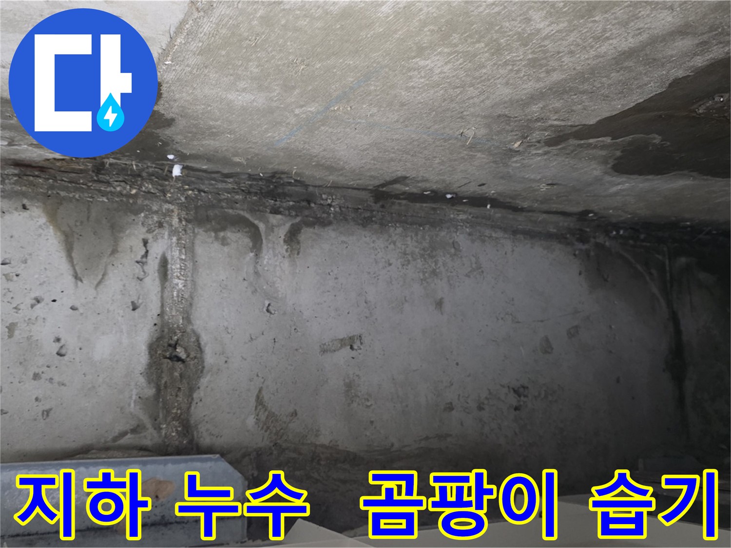남양주 건물 지하 누수 - 곰팡이와 습기