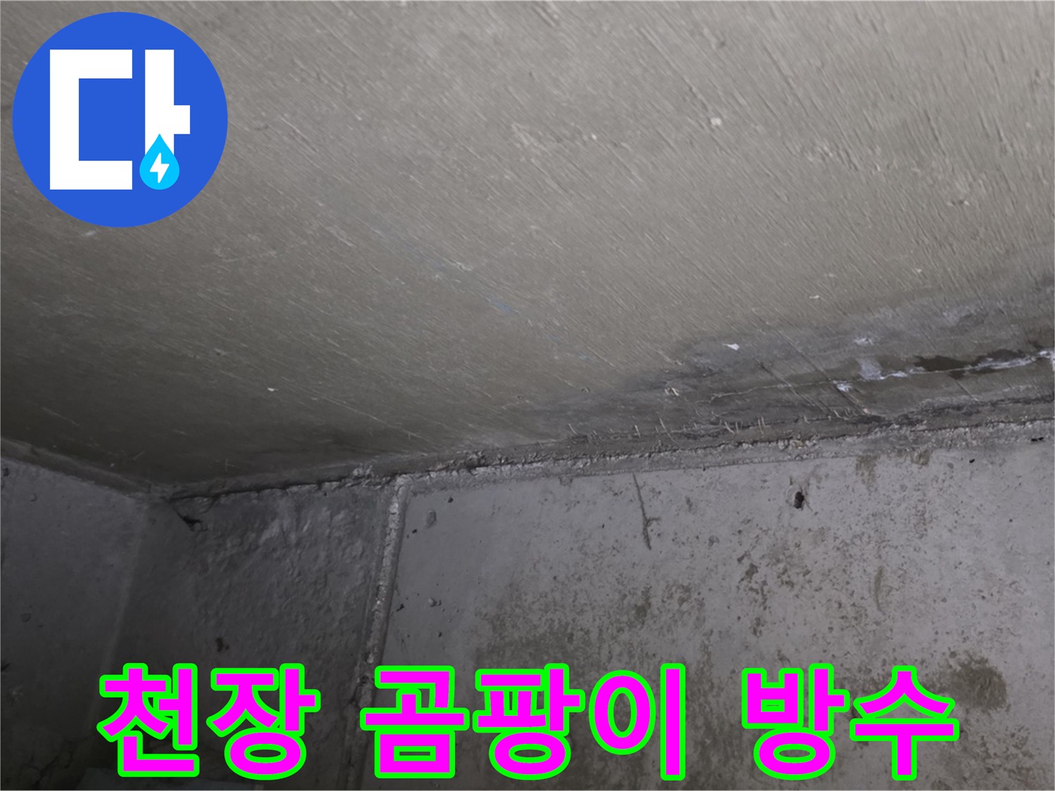 남양주 오남 두산아파트 천장 곰팡이 - 건강 위협