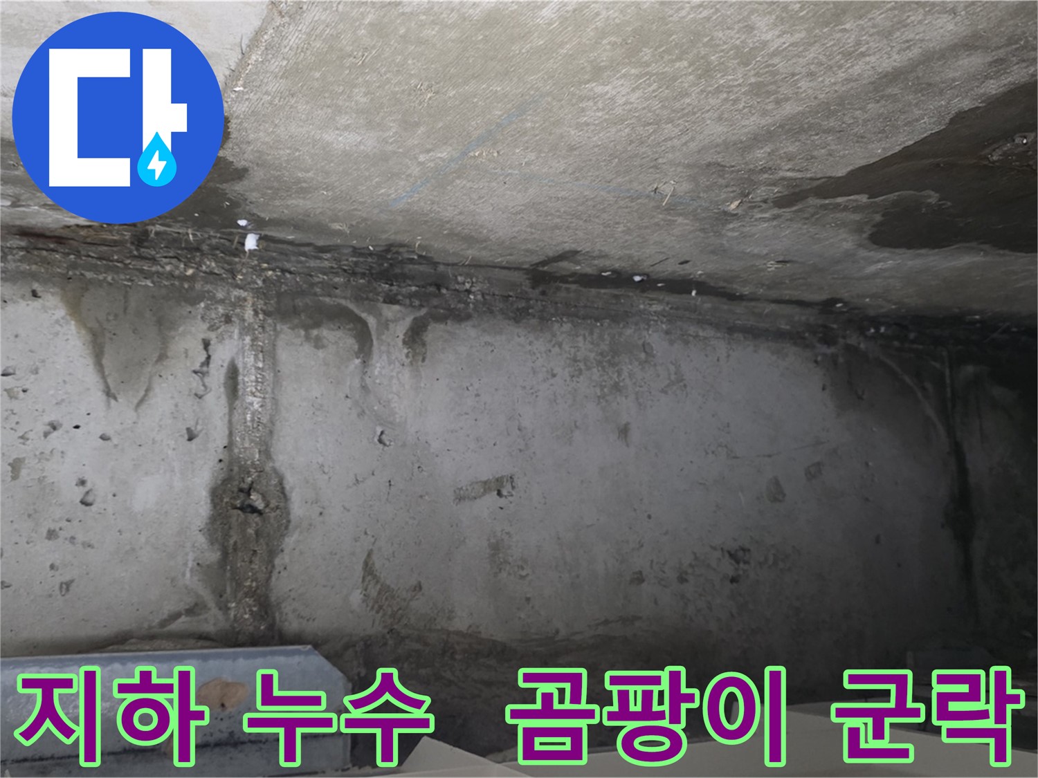 남양주 오남리 두산아파트 지하 누수 - 곰팡이 군락