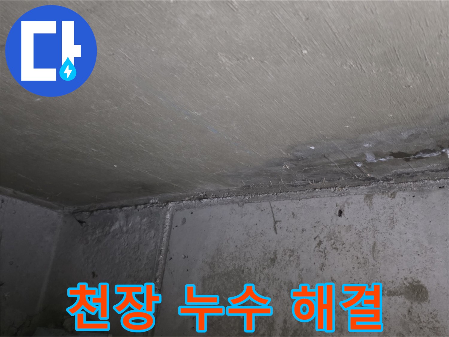 남양주 오남리 두산아파트 천장 누수 - 곰팡이 문제 해결