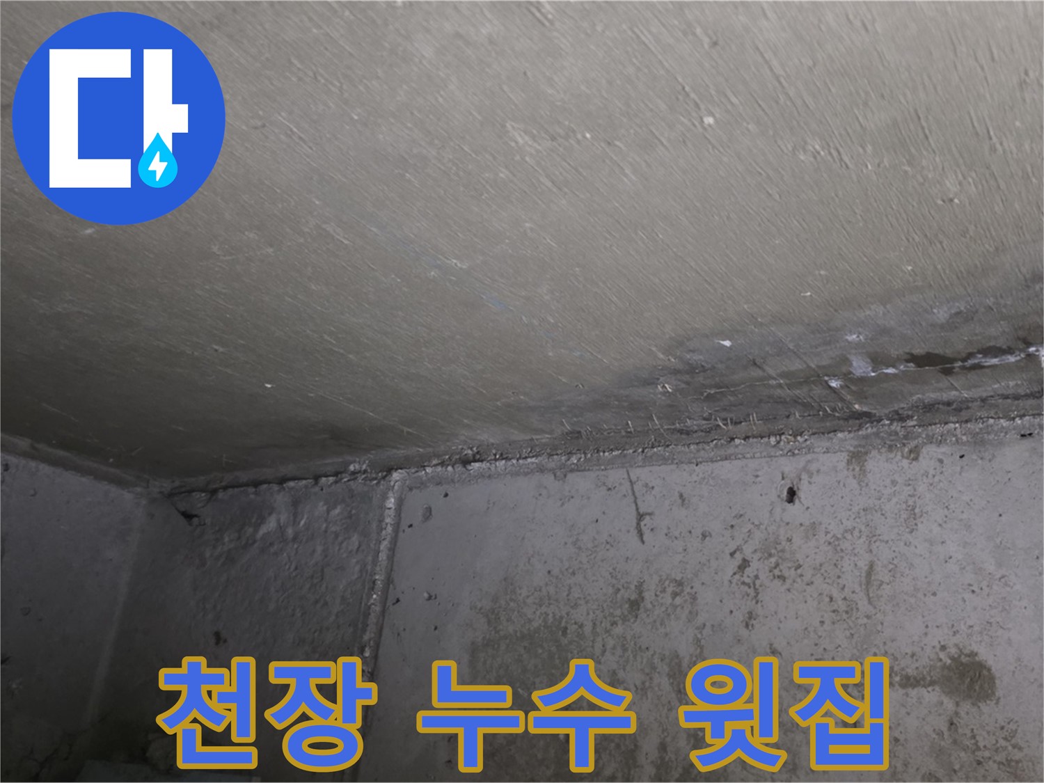 남양주 오남읍 두산아파트 천장 누수 - 윗집 문제일까?