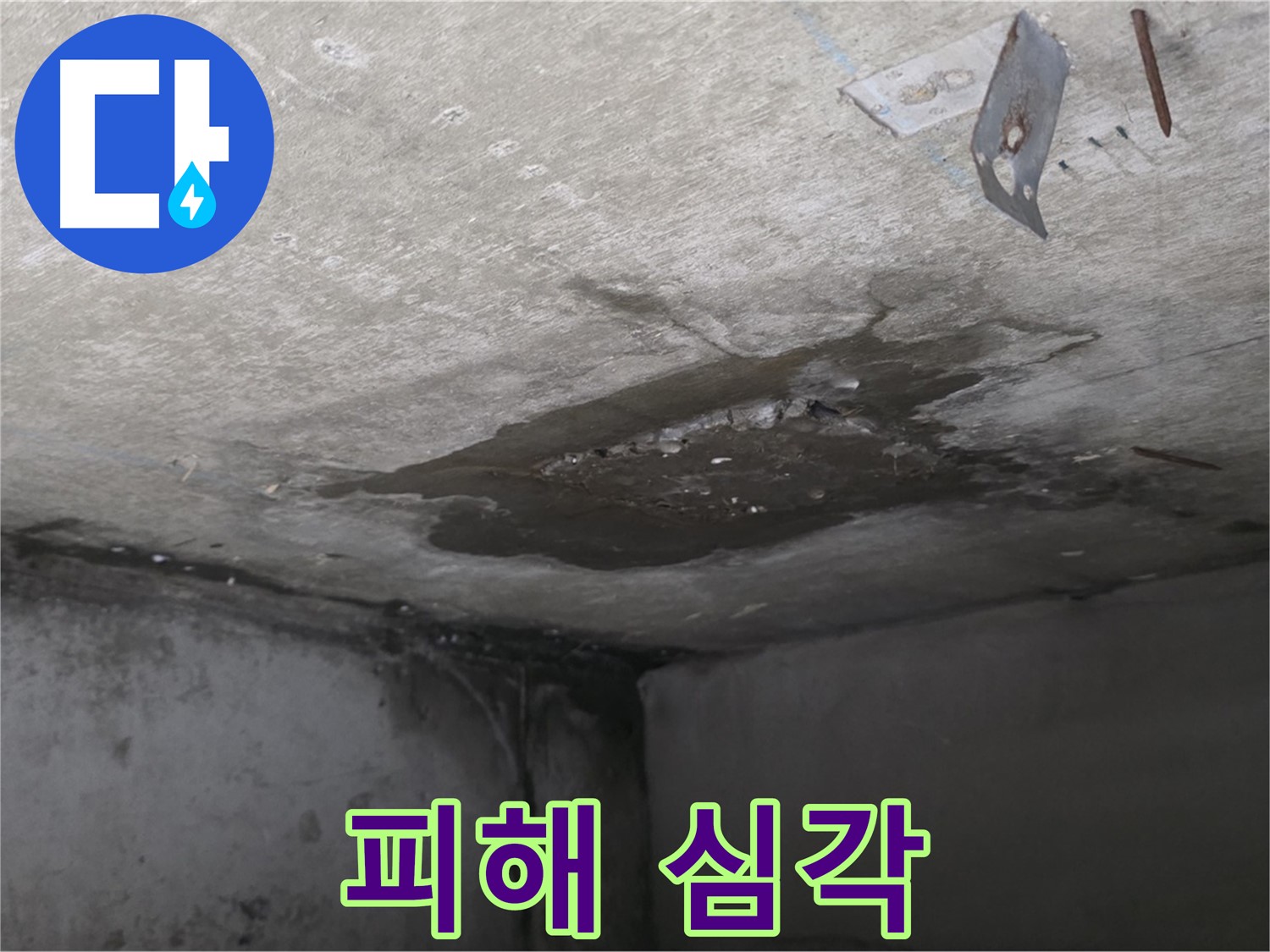 심각한 누수 피해를 입은 아래층 화장실 - 남양주 오남 아파트