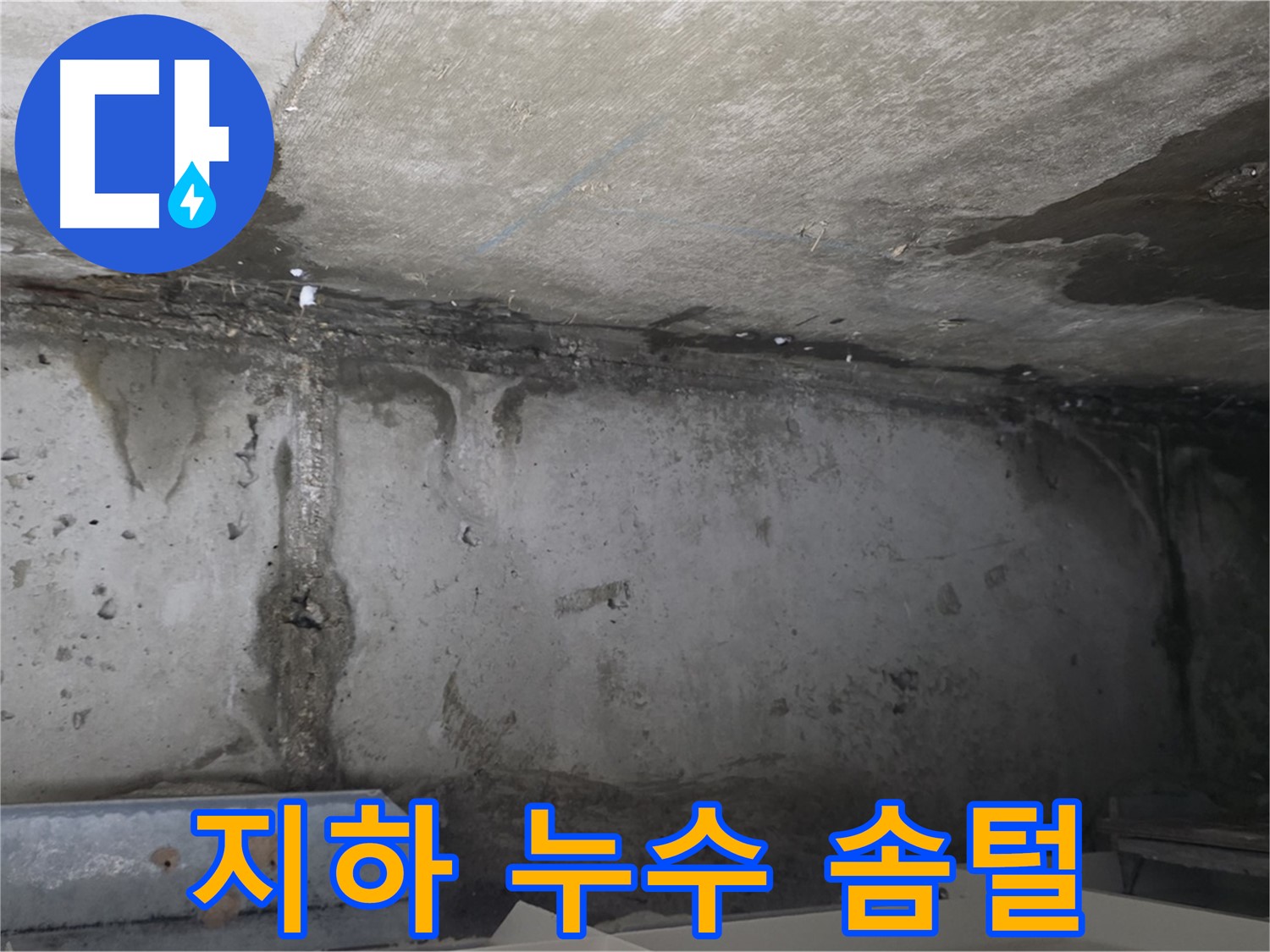 오남 건물 지하 누수 - 솜털 곰팡이