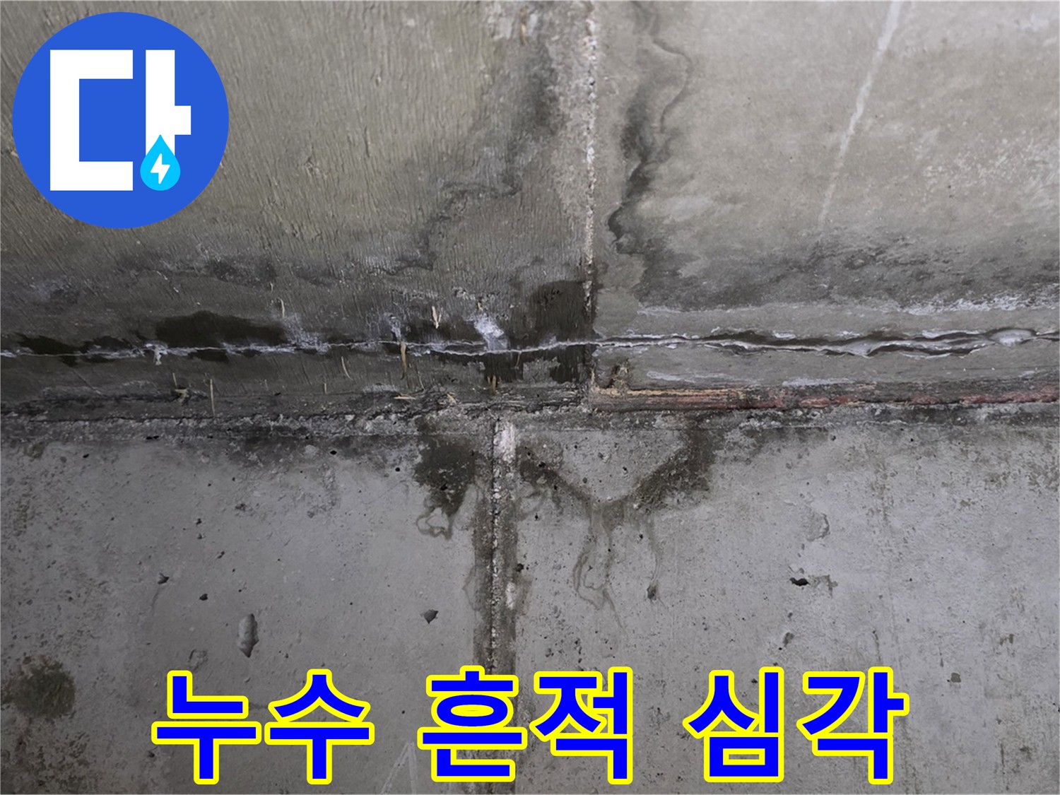 남양주 오남읍 두산아파트 천장 누수 - 심각한 누수 자국