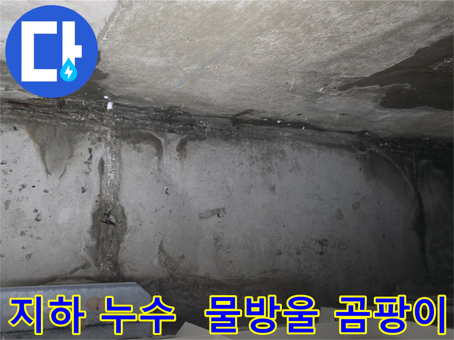 오남 두산아파트 지하 누수 - 벽면 물방울 곰팡이
