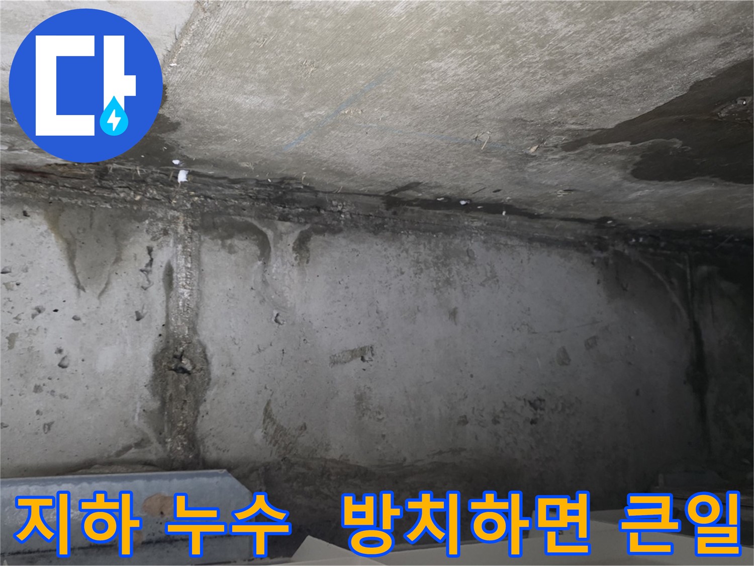 오남읍 건물 지하 누수 - 전문가 필요
