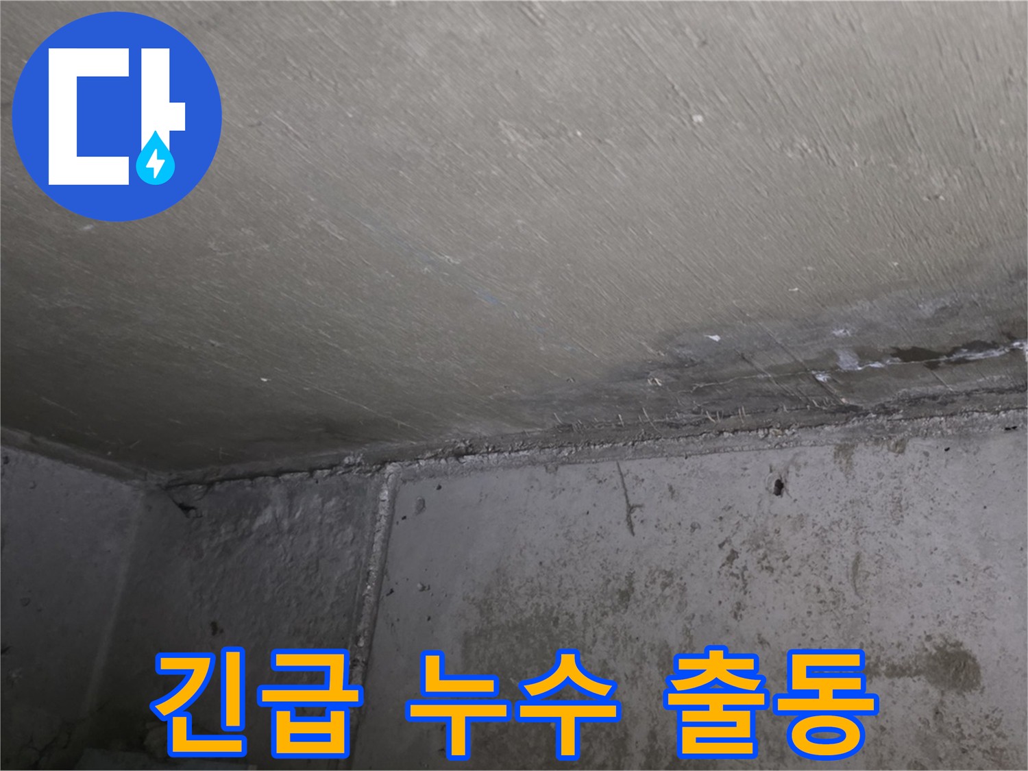 남양주 오남 누수 긴급 출동 - 천장 곰팡이 문제 해결