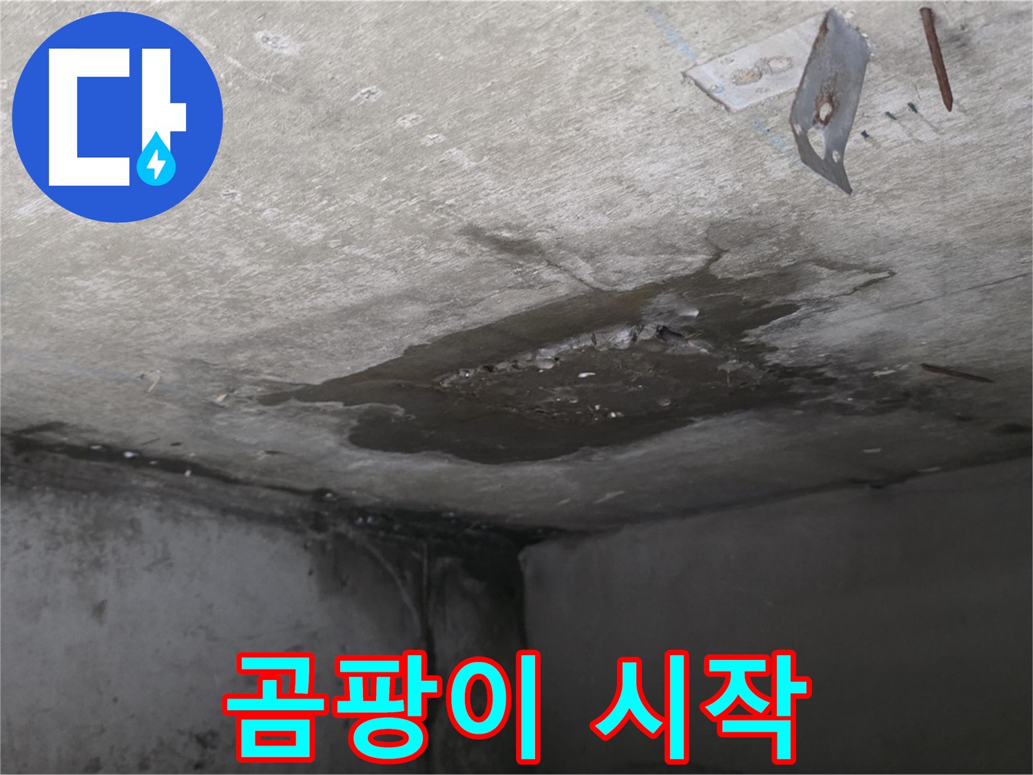 콘크리트 표면 곰팡이 시작 - 남양주 오남 누수