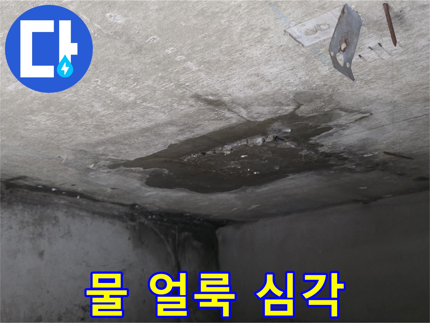 콘크리트 표면 물 얼룩 심각 - 남양주 오남 누수