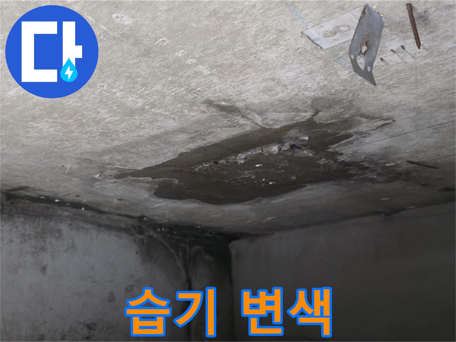 콘크리트 표면 습기로 인한 변색 - 남양주 오남 누수