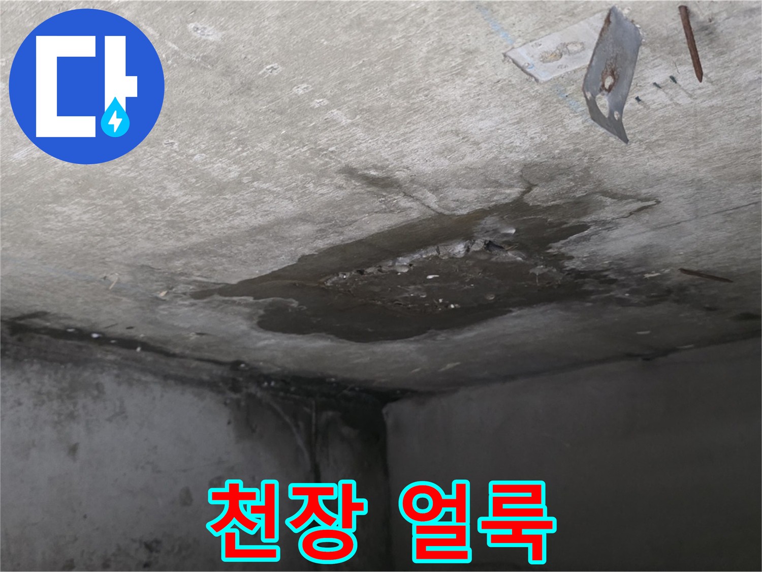 물이 스며들어 생긴 아래층 화장실 천장 얼룩 - 남양주 오남 아파트 누수