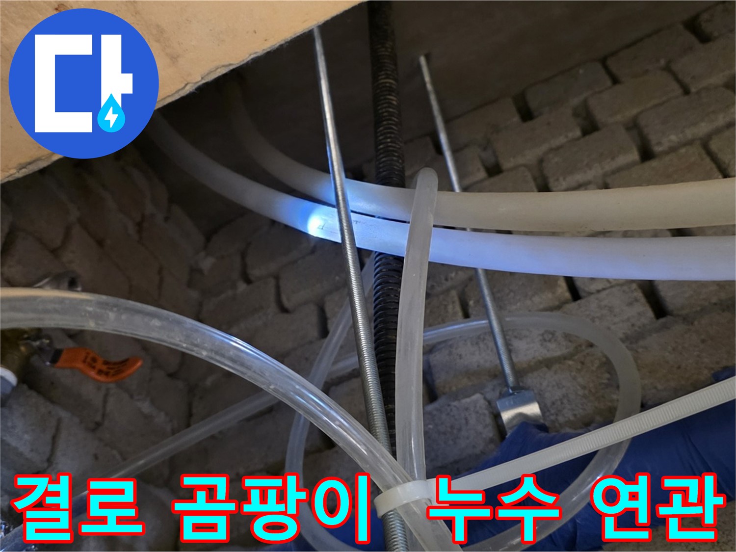 다산동 누수 - 결로 현상과 곰팡이 발생, 누수와 연관성 확인