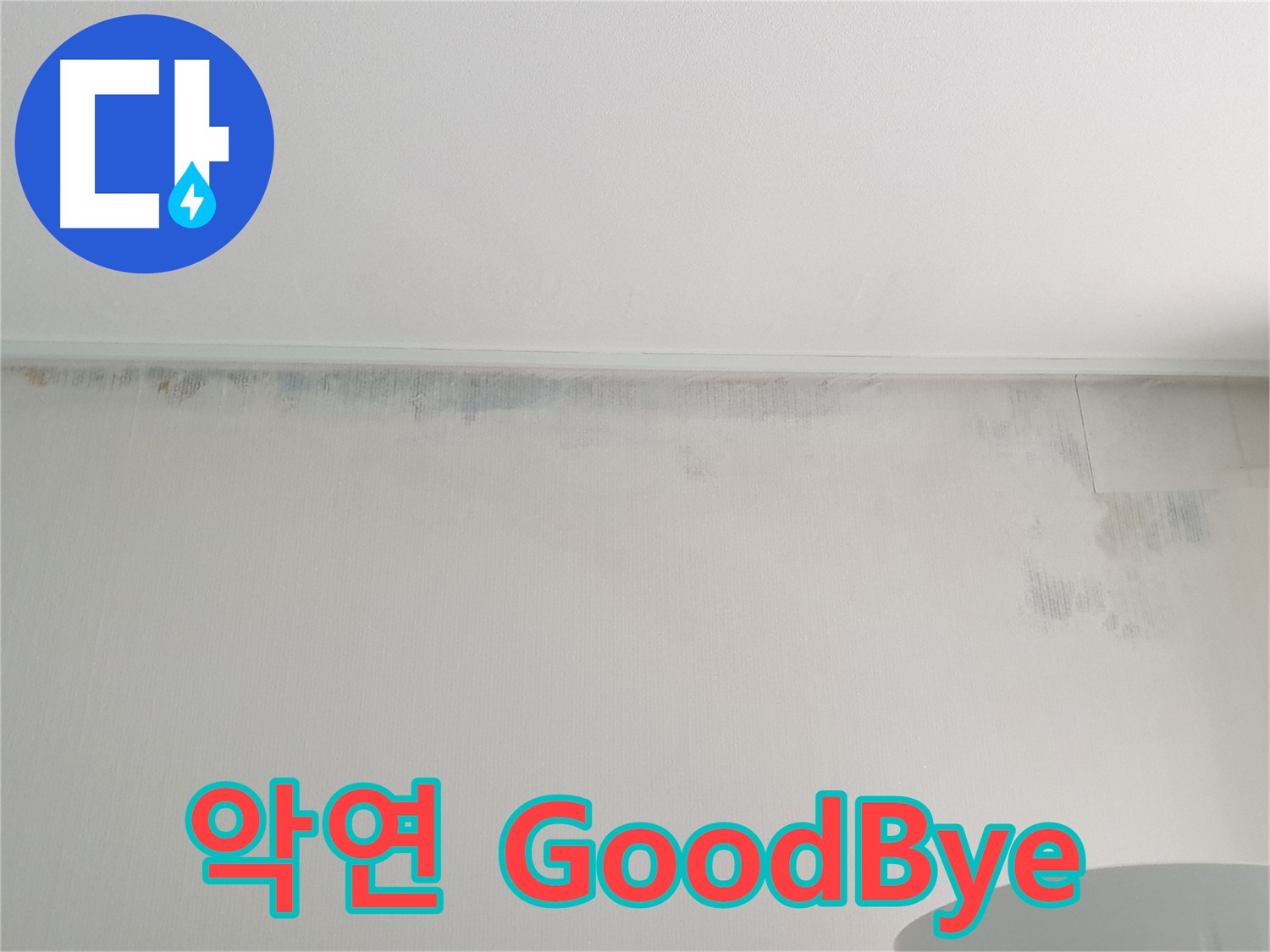 노원구 중계동 곰팡이 - 악연 GoodBye 쾌적한 새 출발