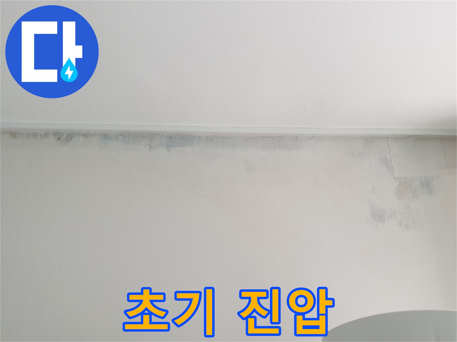 노원구 중계동 곰팡이 - 초기 진압 작전