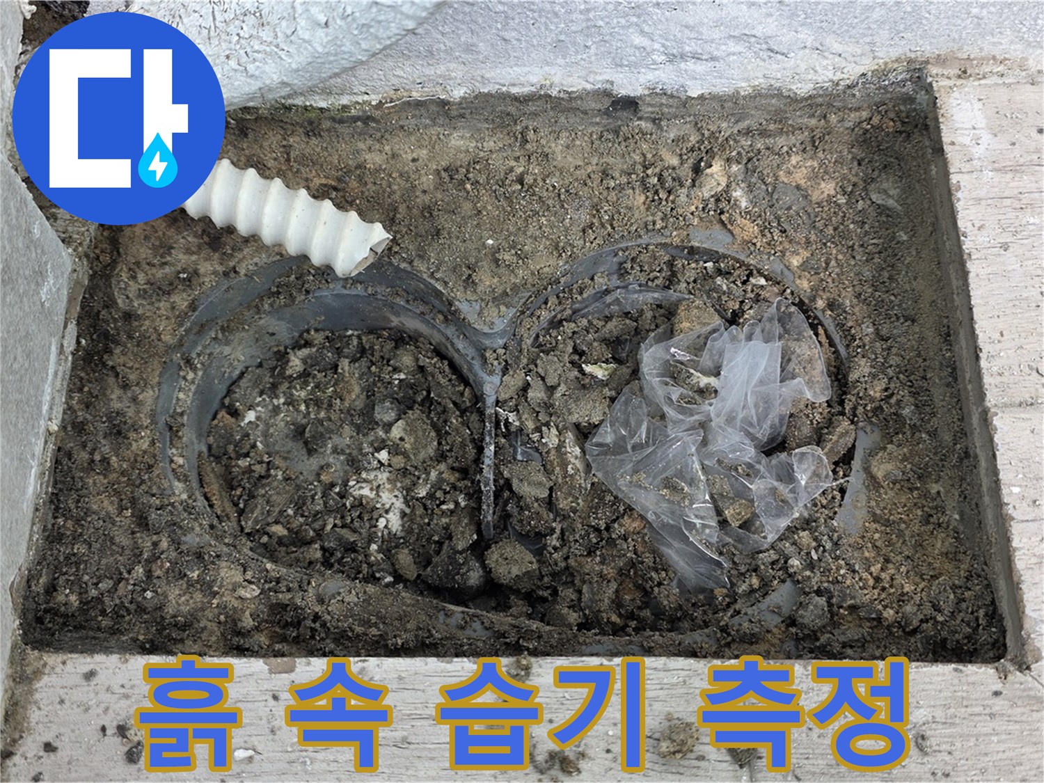노원구 중계동 청구3차 아파트에서 트렌치 주변 흙 속 습기를 측정하고 누수를 진단하고 있습니다 - 습기는 누수의 중요한 단서입니다.