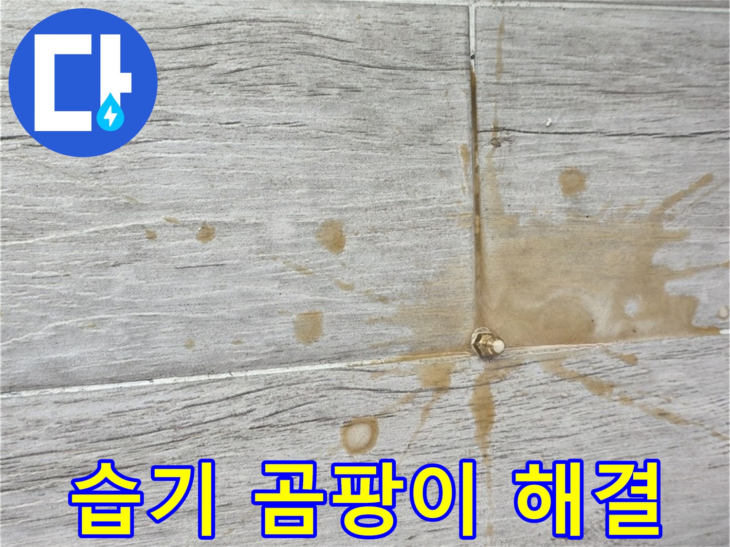 마루 아래 습기 - 인젝션 방수로 곰팡이 걱정 없이 쾌적하게