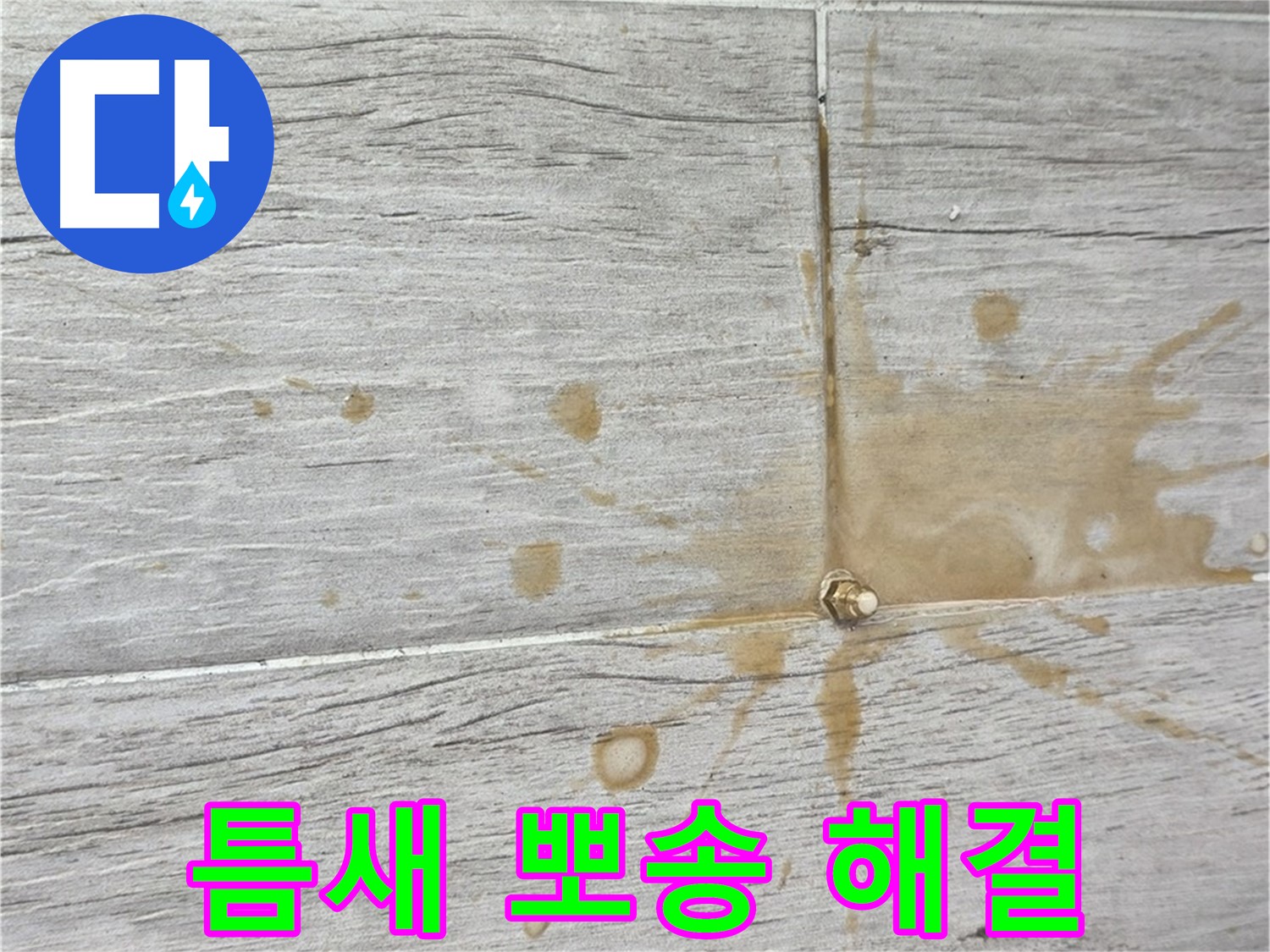 마루 틈새 물기 - 뽀송하게, 곰팡이 걱정 끝!