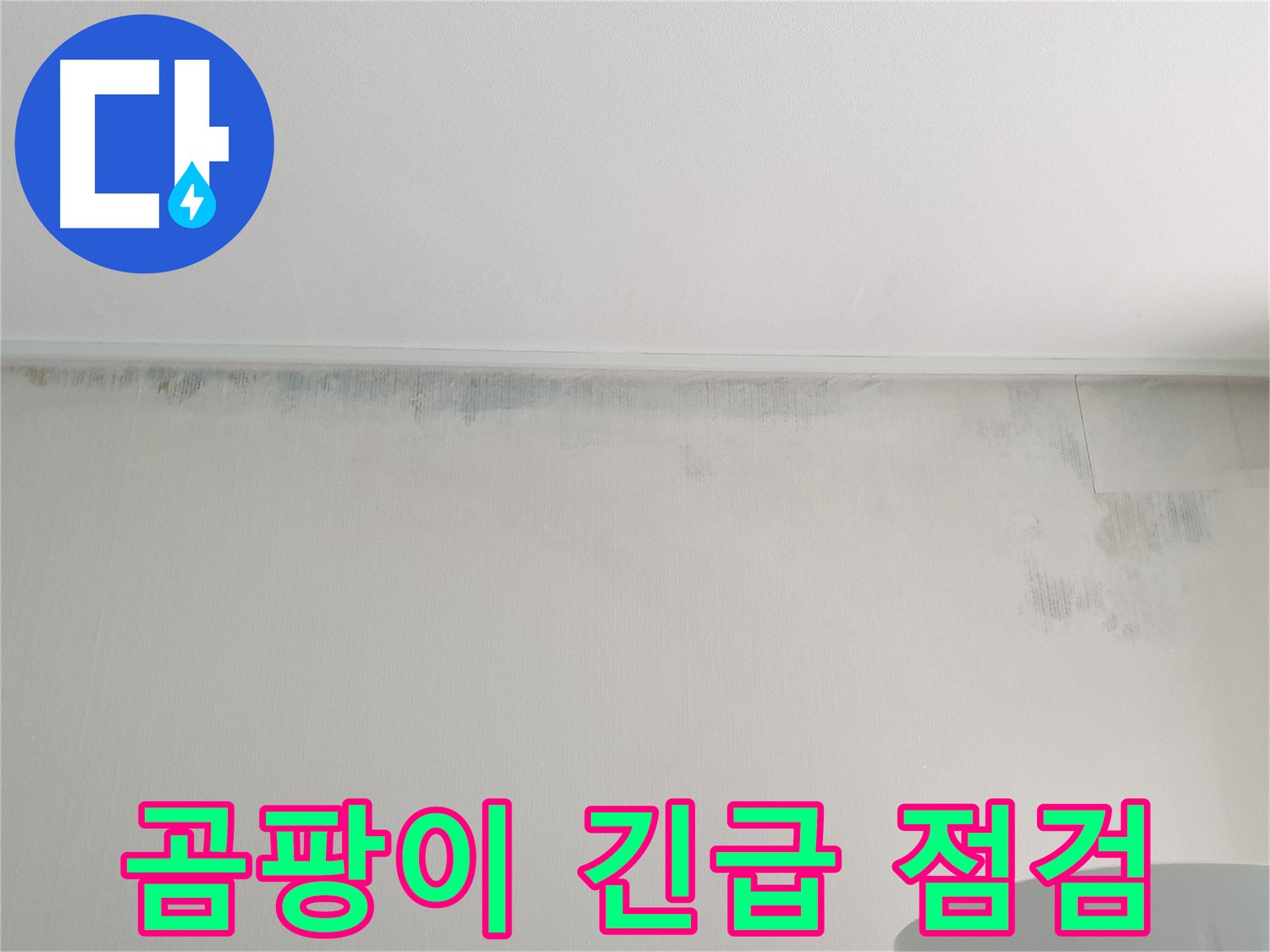 중계동 청구3차 아파트 벽 누수 - 긴급 곰팡이 점검