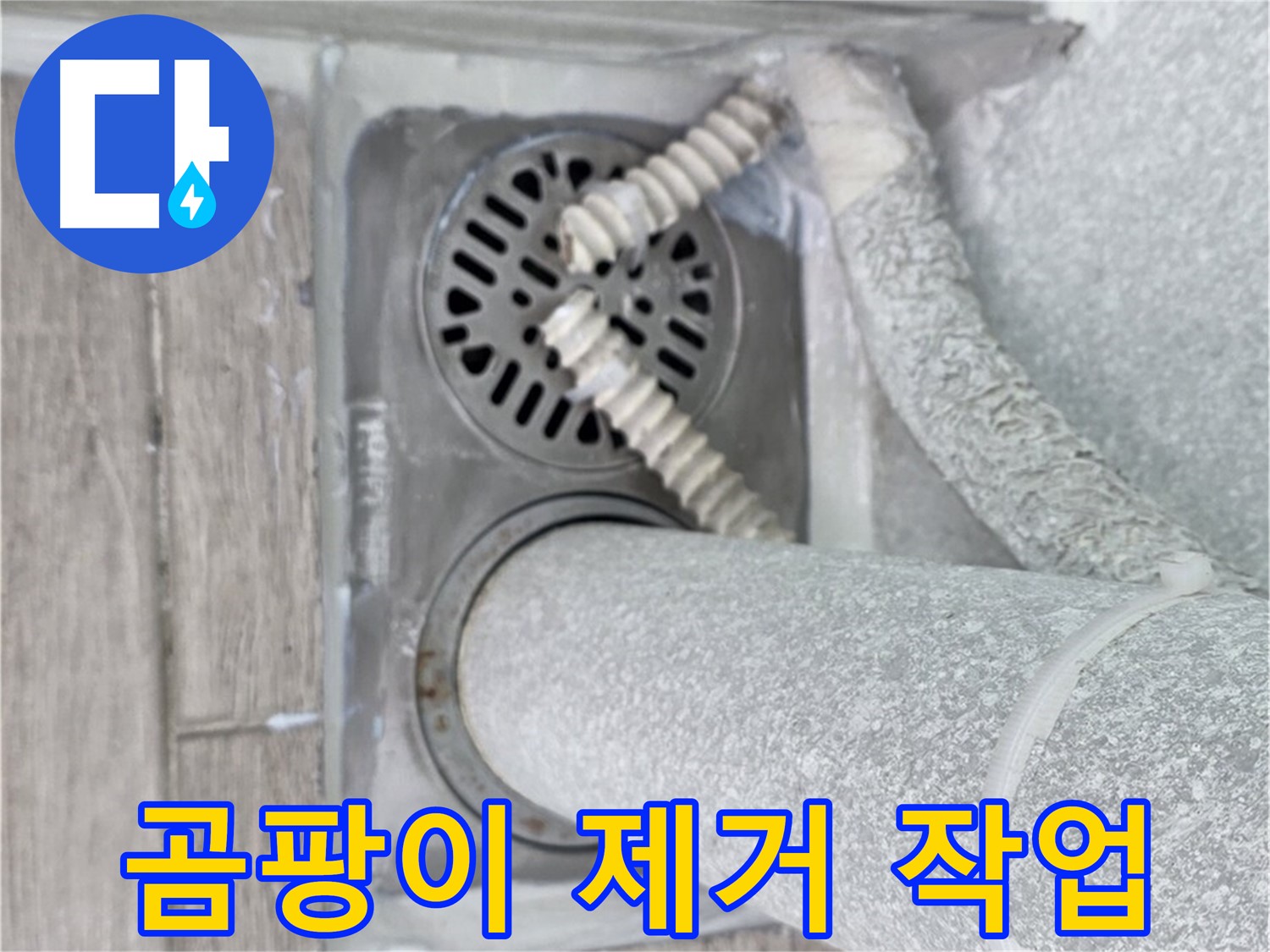 중계2동 청구3차 107동 아파트 욕실 누수 - 배수구 주변 곰팡이 깨끗하게 제거