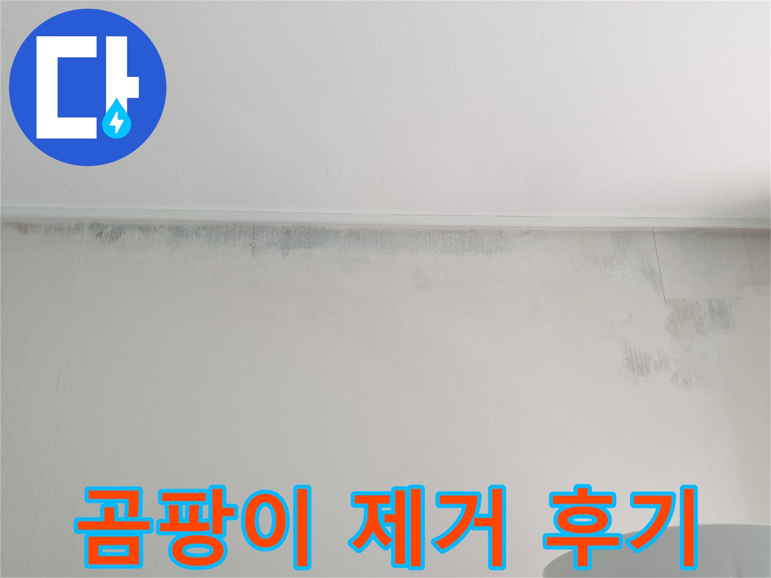 중계동 곰팡이 누수 - 청구3차 107동 곰팡이 제거 후기