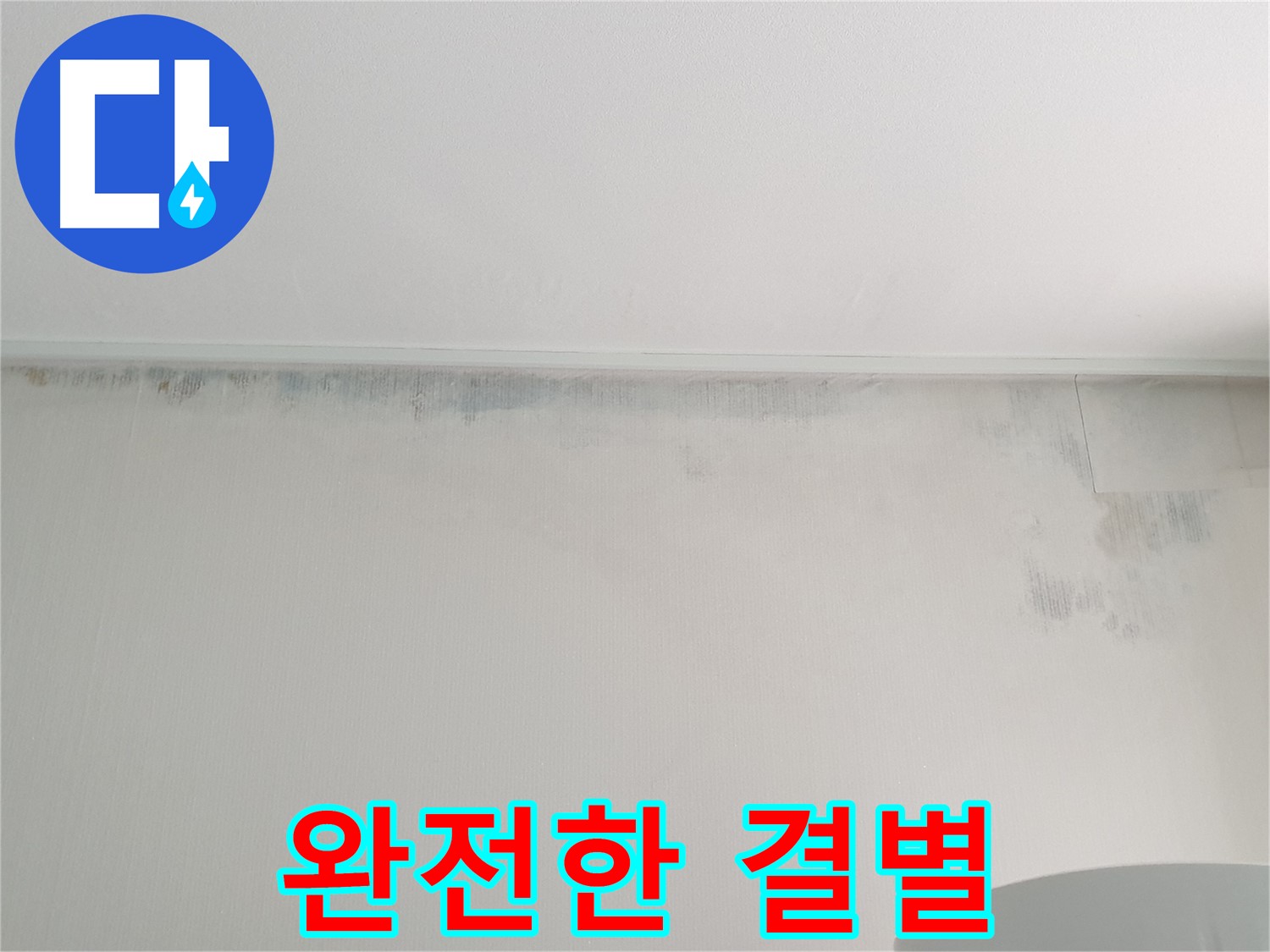 중계동 아파트 곰팡이 - 완전한 결별 선언