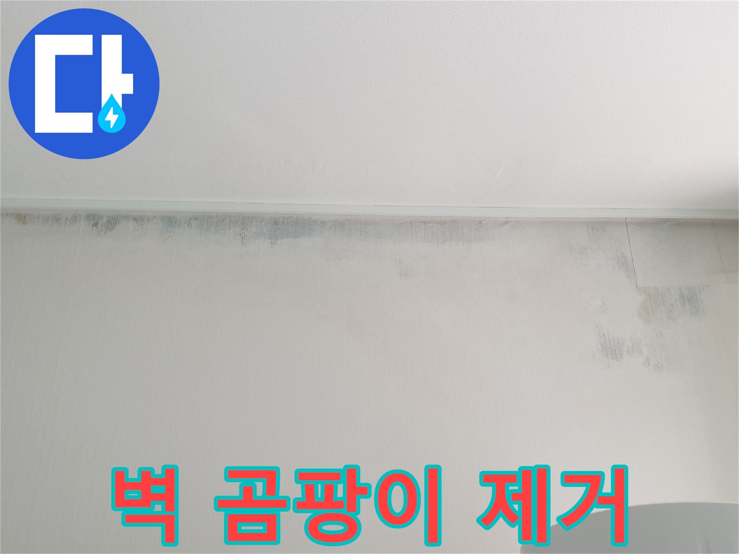 중계동 아파트 벽 누수 - 곰팡이 긴급 제거 필요