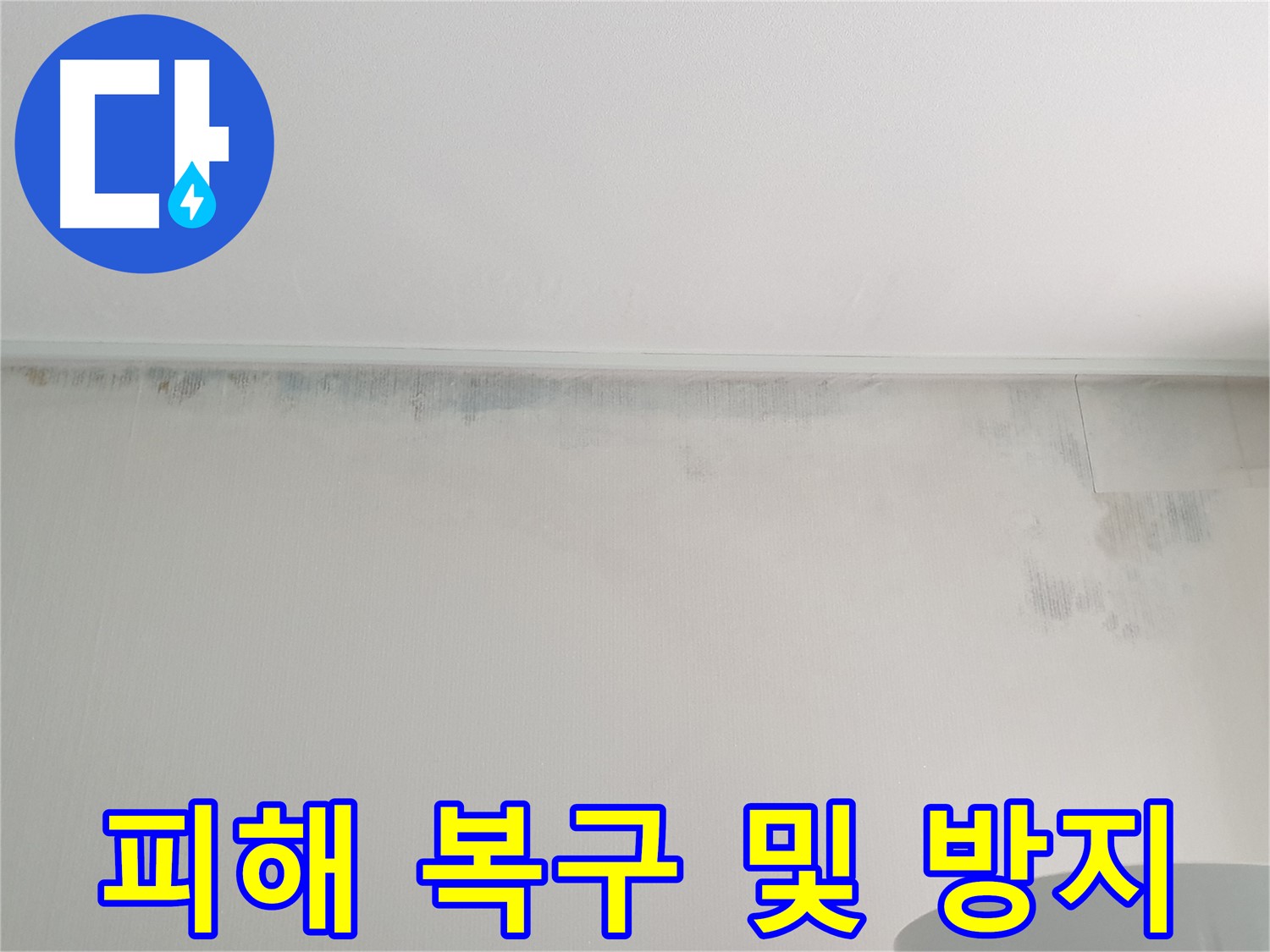 중계동 아파트 벽 누수 - 곰팡이 피해 복구 및 재발 방지