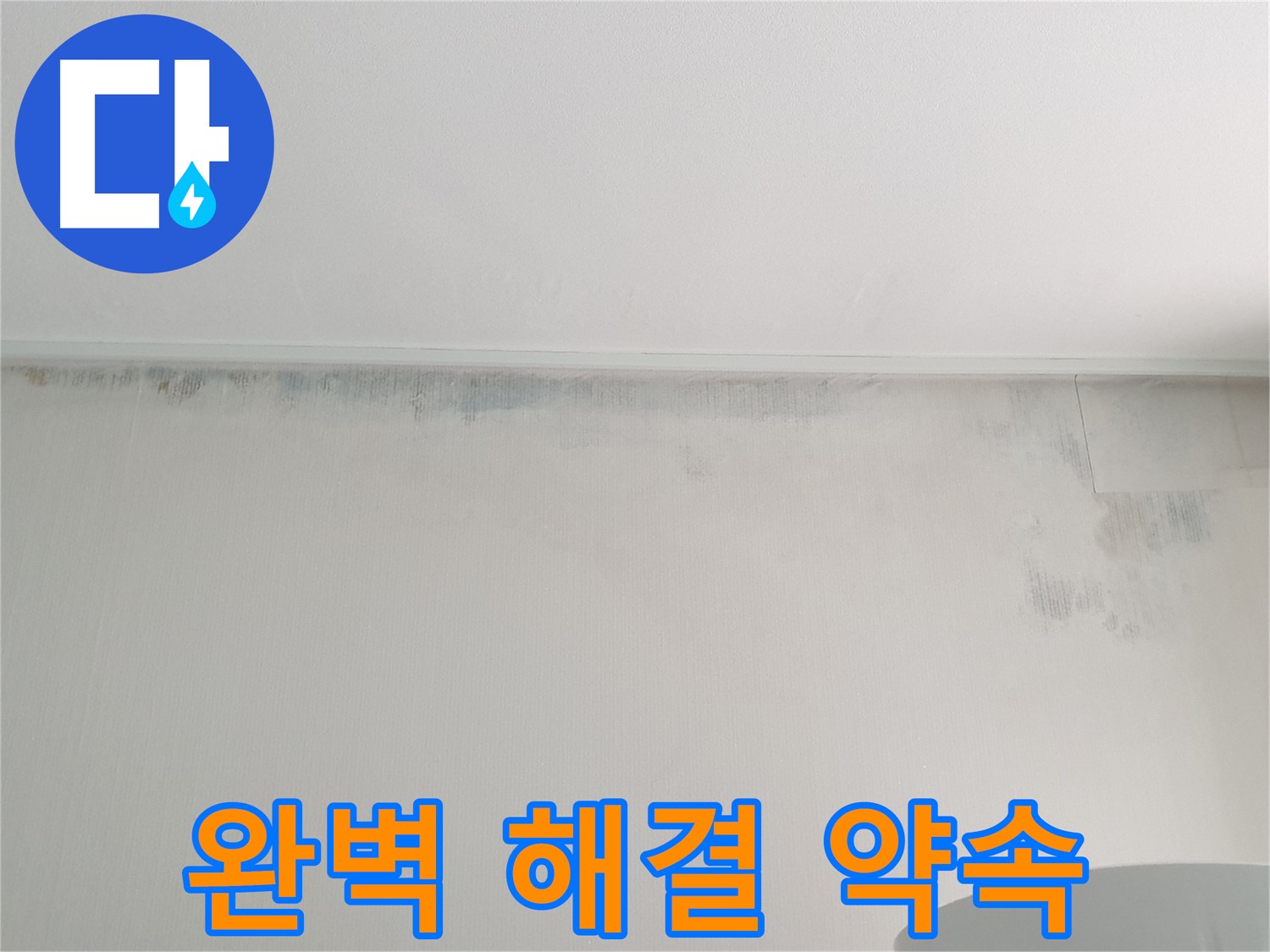중계본동 청구3차 아파트 벽 곰팡이 - 누수 문제 완벽 해결 약속
