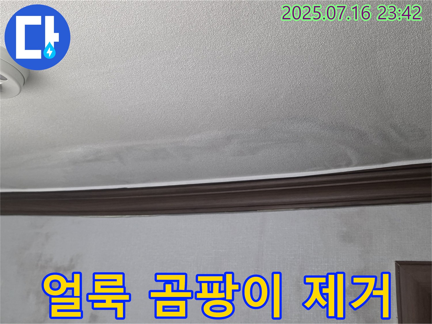 강북구 미아동 빌라 누수 현장 - 천장 얼룩과 곰팡이 제거가 시급한 상황