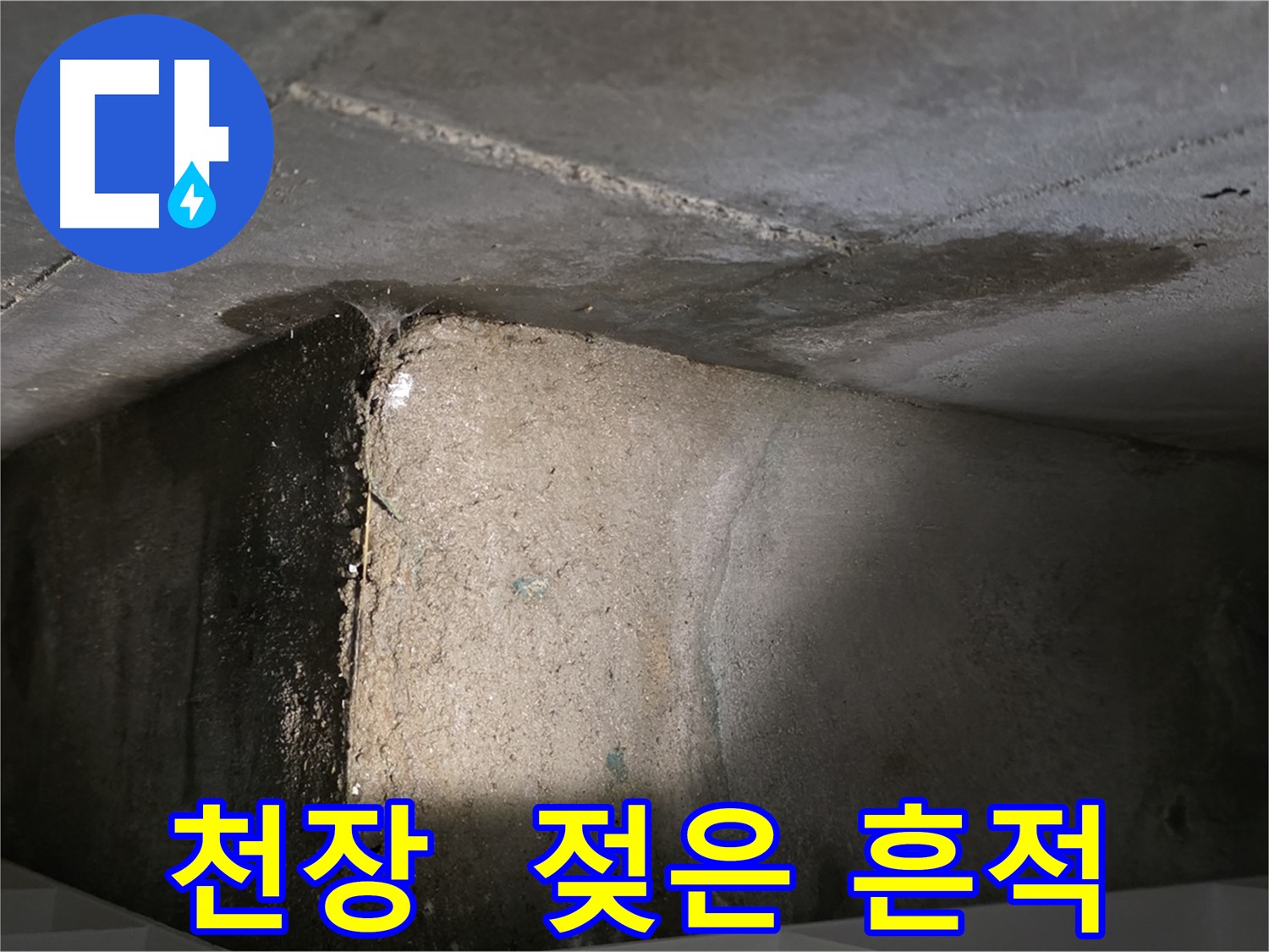 장기동 누수 - 천장에 젖은 흔적이 보이는 누수 현장