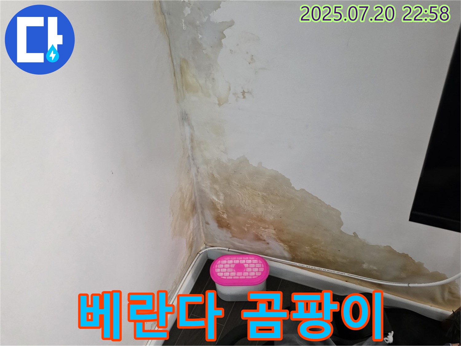 마포구 서교동 베란다 - 곰팡이 발생 - 결로 또는 누수 의심