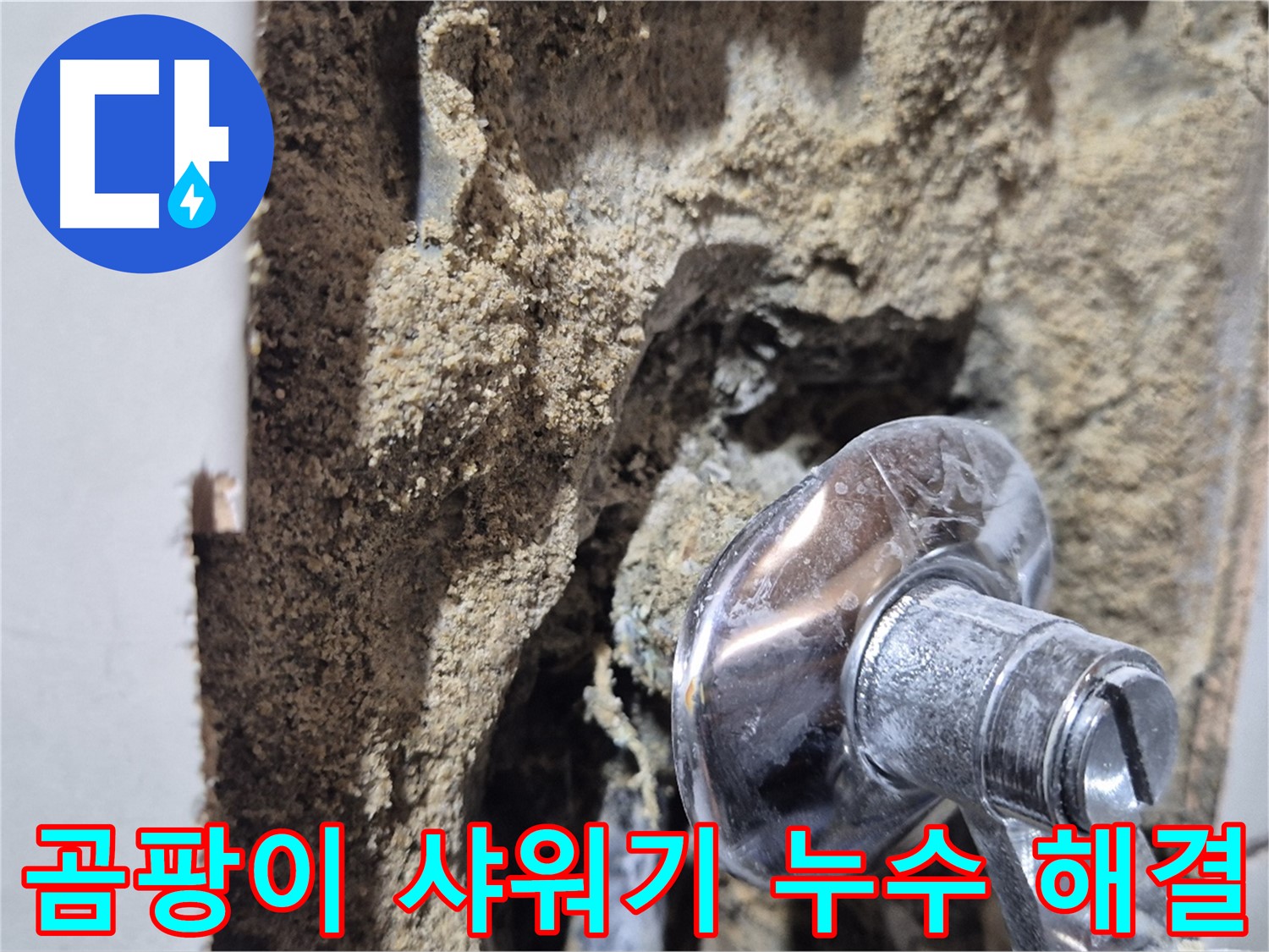 마포구 합정동 현대빌라 - 곰팡이 핀 샤워기 주변 누수 해결