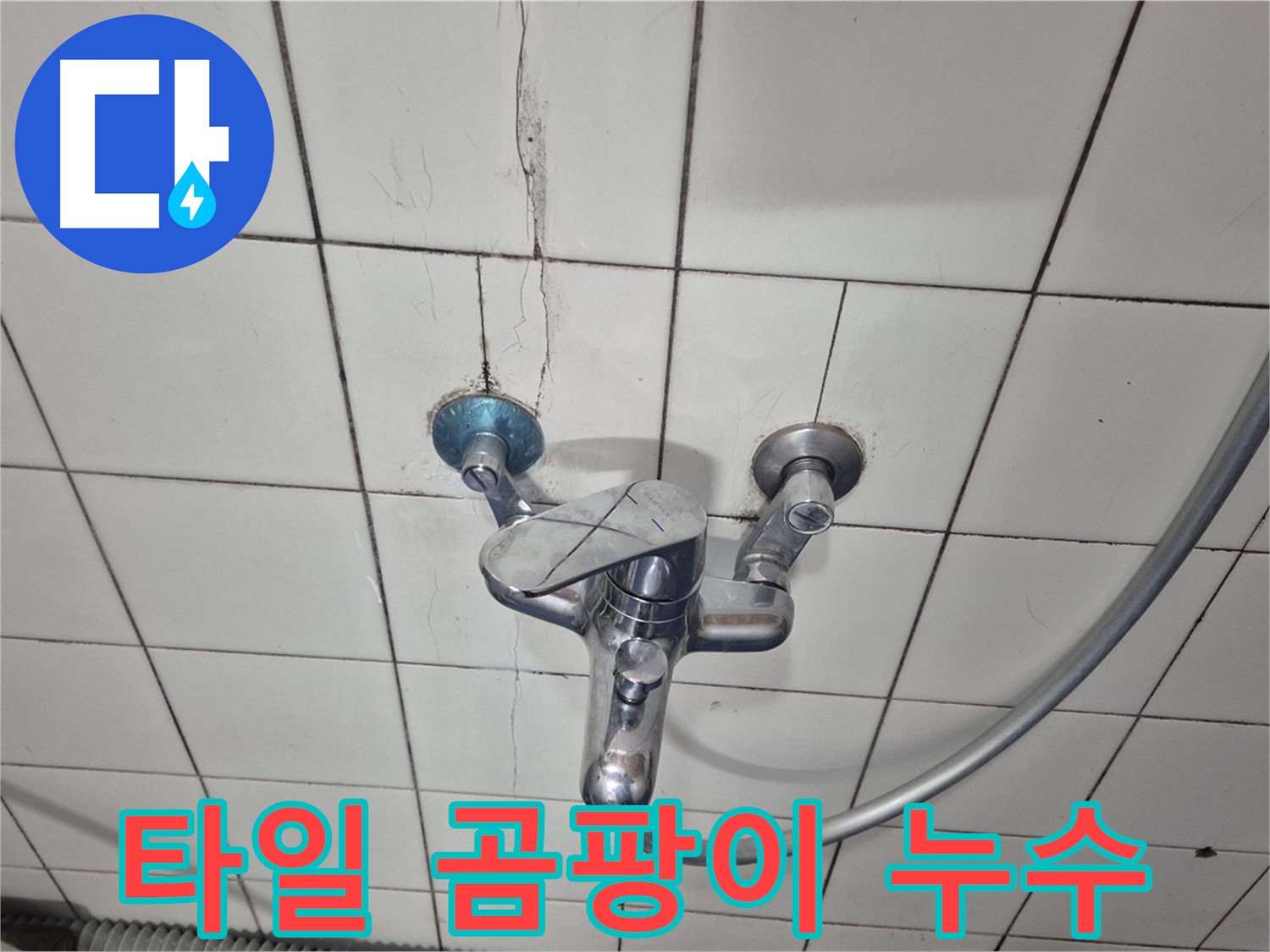 샤워기 수전 주변 타일 곰팡이 - 습기로 인한 곰팡이 번식 및 누수 의심