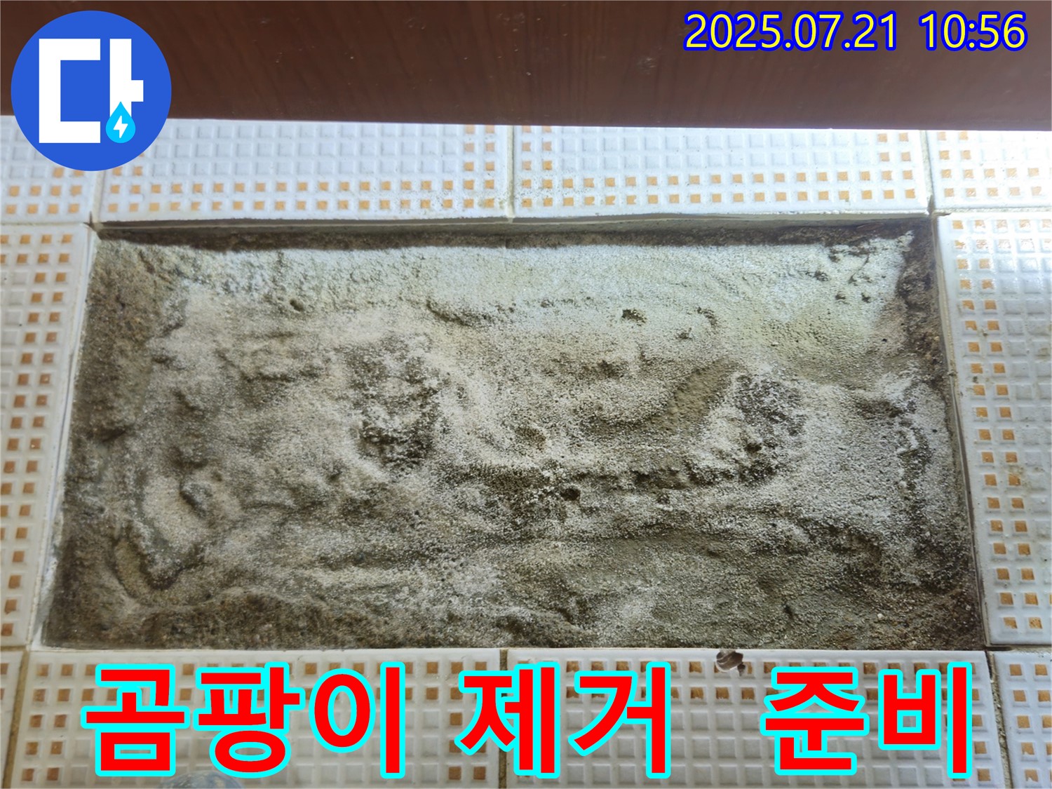 노원구 상계동 누수 - 곰팡이 제거 작업 전 준비 - 안전 최우선