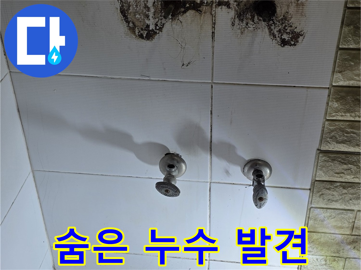 노원구 상계동 욕실 곰팡이 - 숨겨진 누수를 끝까지 찾아 해결하는 전문 업체를 소개합니다.