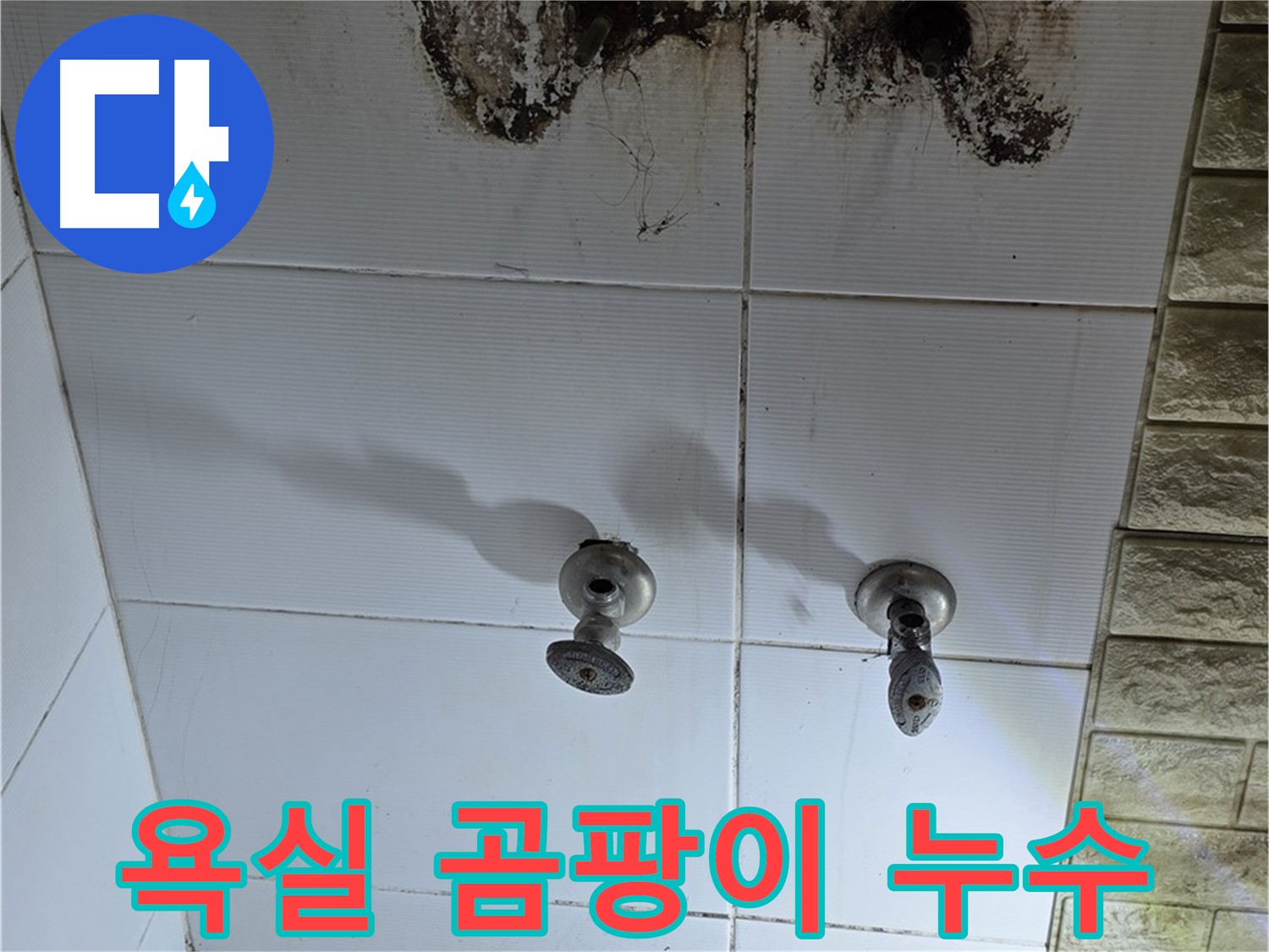 노원구 상계동 욕실 벽 곰팡이와 누수 - 전문적인 진단과 확실한 해결로 쾌적한 욕실을 되찾아 드립니다.
