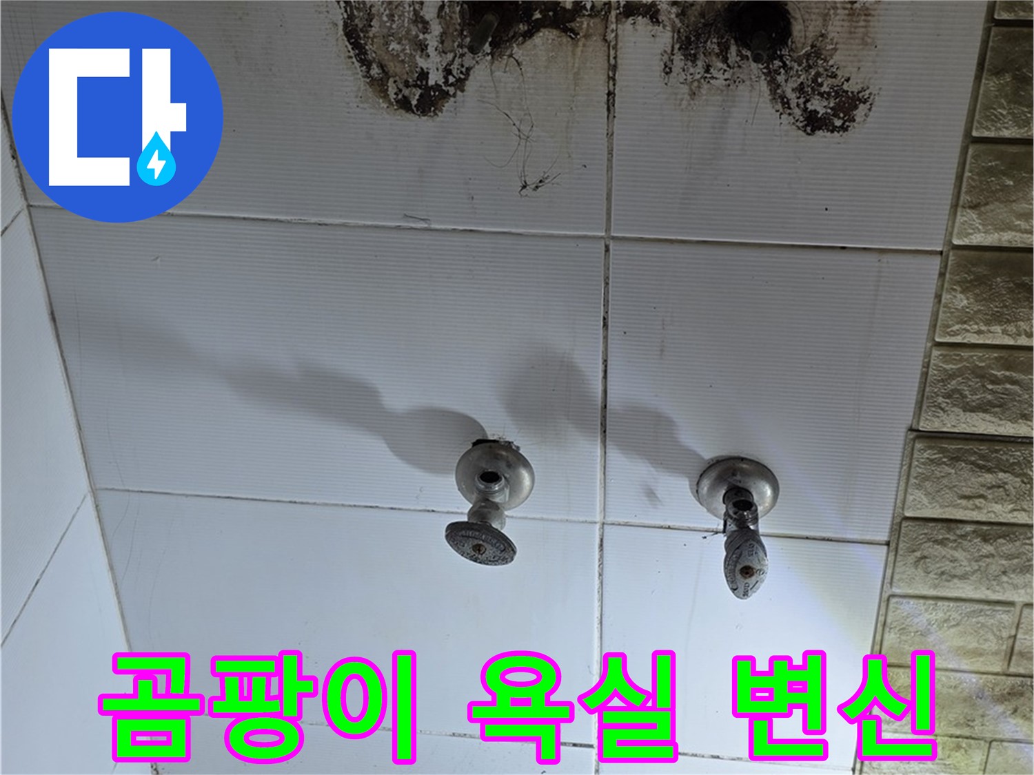 상계동 곰팡이 가득한 욕실 - 누수 문제를 해결하고 깨끗하게 변신시켜 드립니다.
