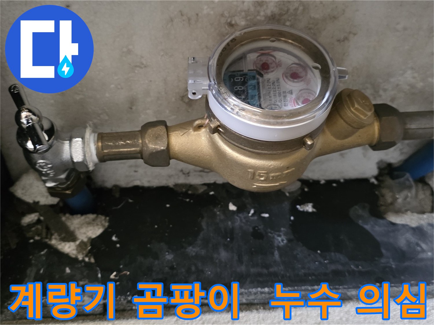 계량기 주변 곰팡이 발견 - 남양주 누수탐지 전문