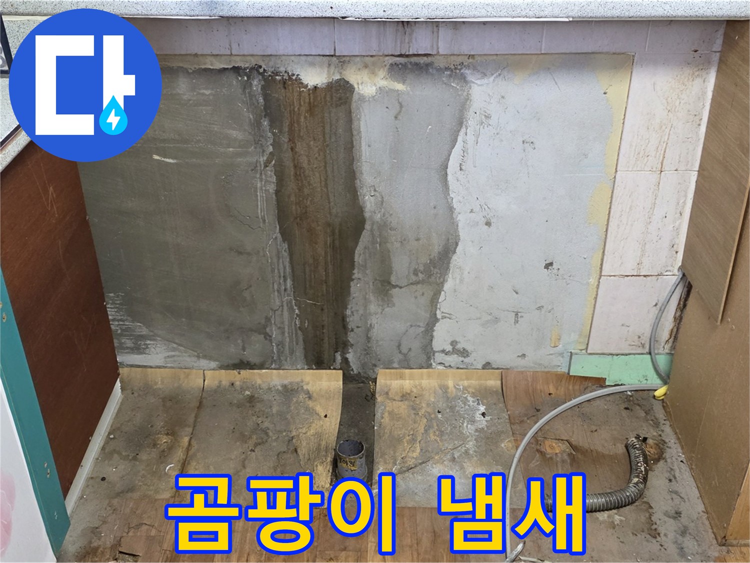 곰팡이 냄새 - 싱크대 하부 곰팡이 냄새 - 불쾌한 냄새