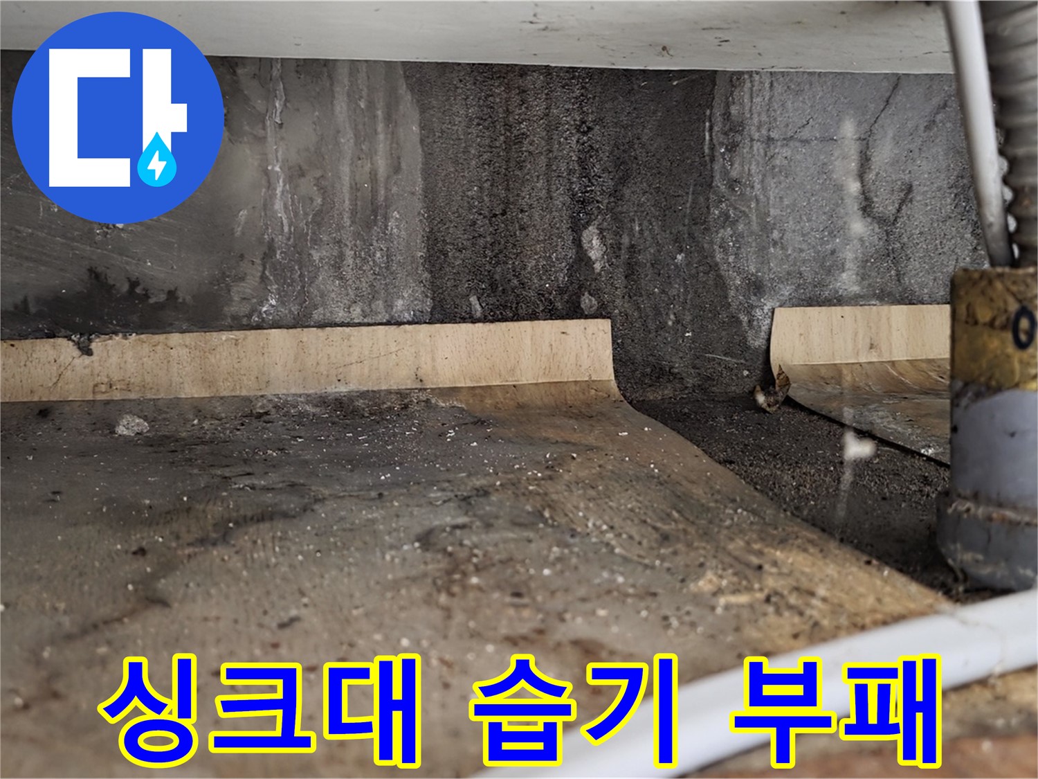 싱크대 습기 - 나무 부패 악취
