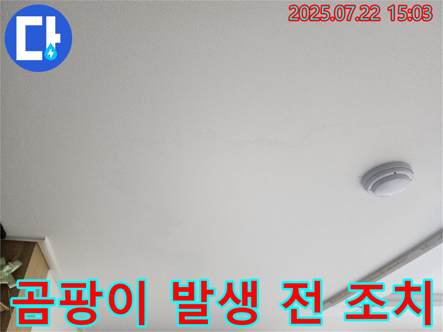 고양시 누수 - 천장 누수- 곰팡이 발생 전에 서둘러 조치하세요!