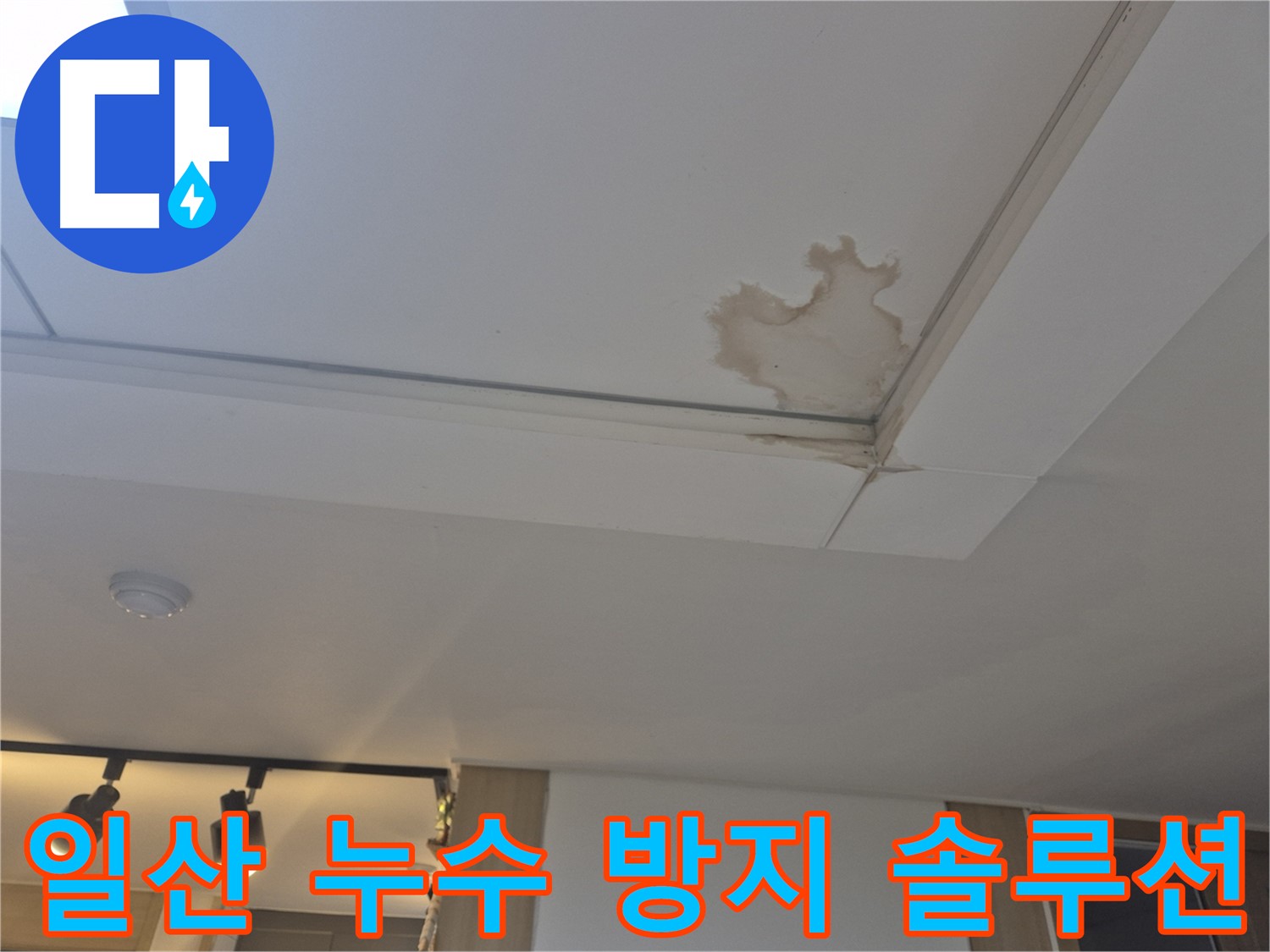 고양시 일산 천장 누수 맞춤형 솔루션 제공