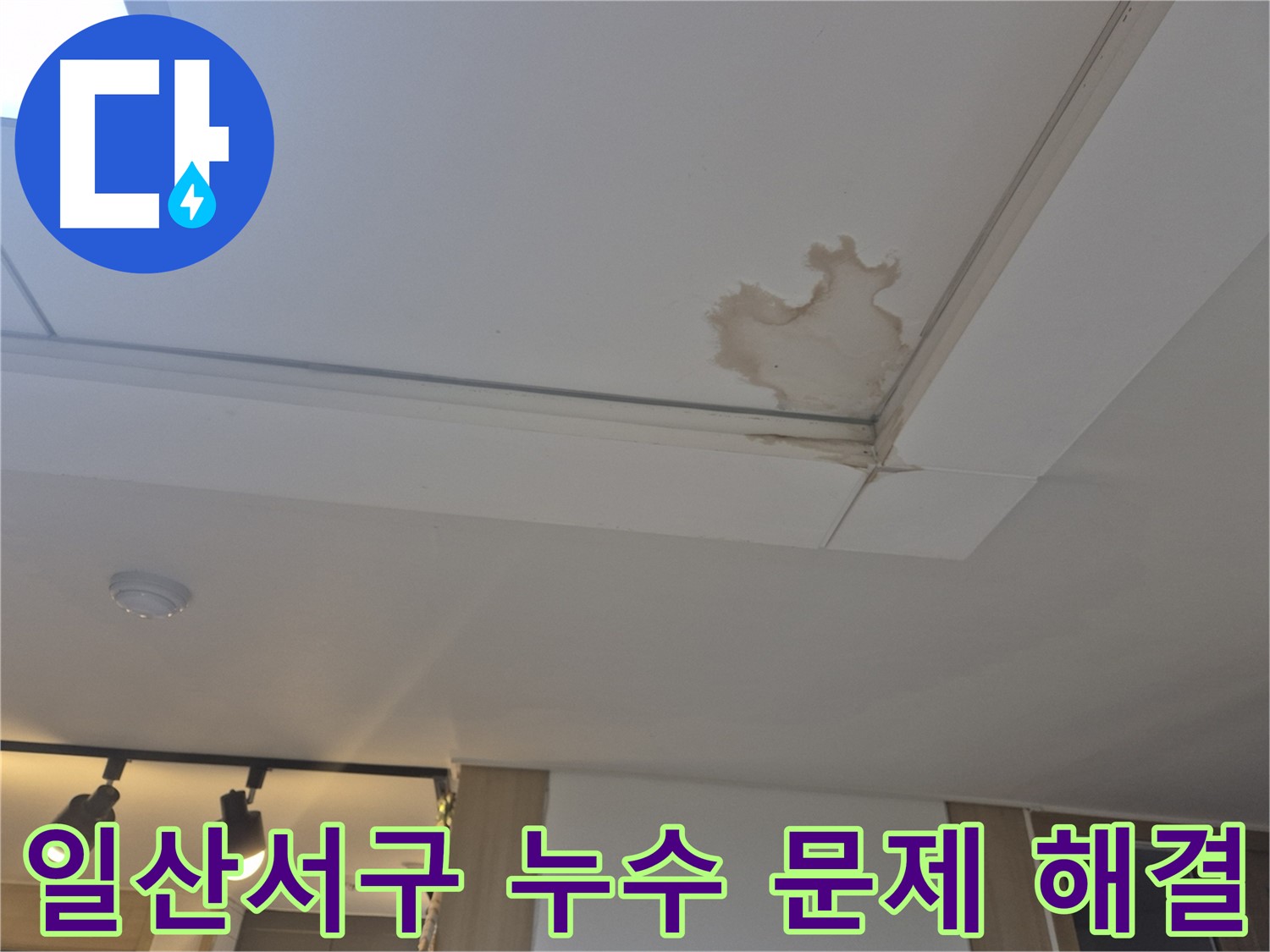 고양시 일산서구 천장 누수 - 건물 전체 안전 위협 - 전문 업체의 진단과 시공 필요