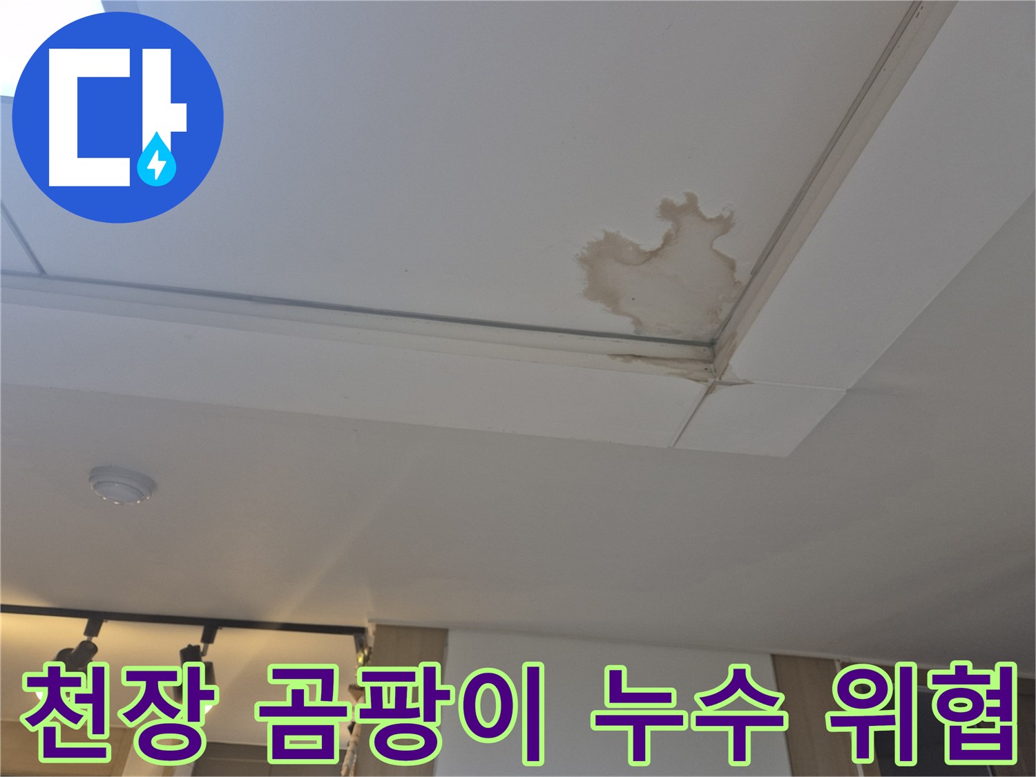 고양시 일산서구 천장 누수 - 곰팡이와 누수 - 건강을 위협하는 요인