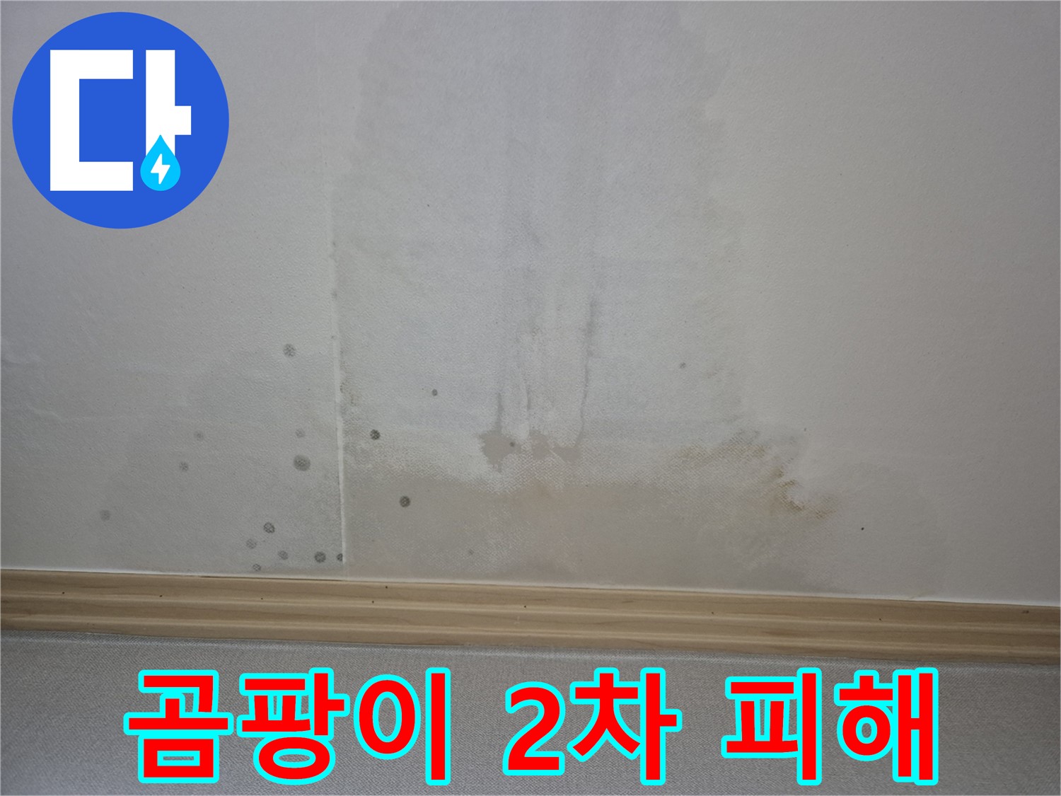 곰팡이 핀 벽으로 인한 2차 피해 - 전기 합선, 건물 부식 등 위험 요소 강조
