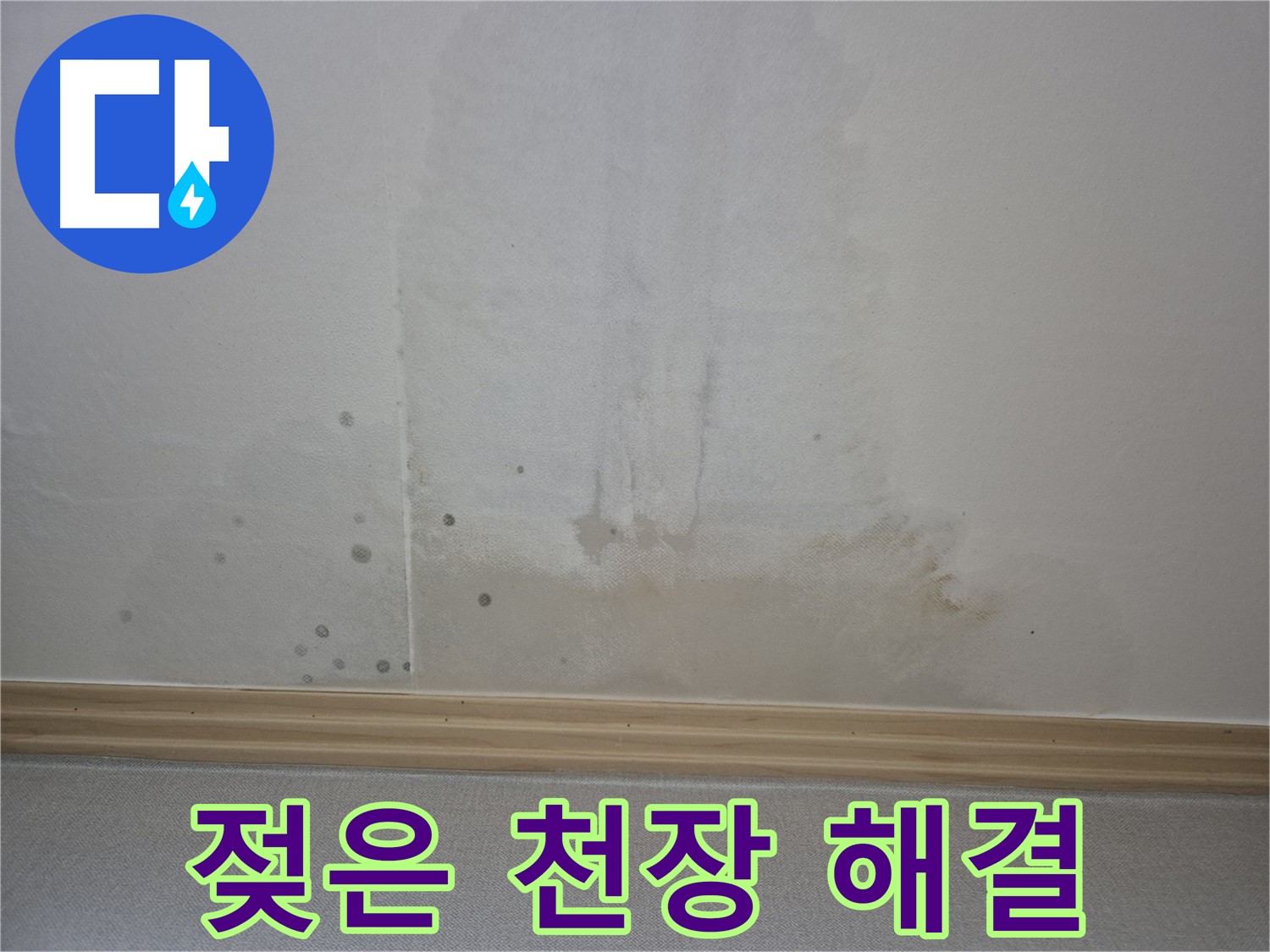 젖은 천장 해결 - 고객에게 완벽한 해결을 약속하는 모습
