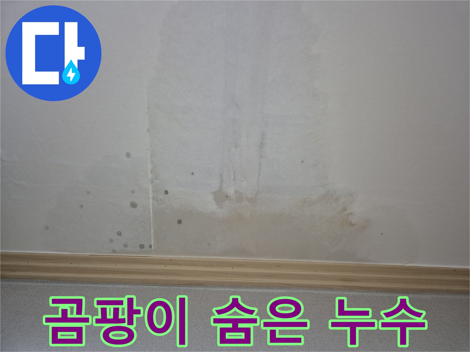 첨단 누수 탐지 장비 - 곰팡이 핀 벽 속 숨은 누수를 찾아내는 모습