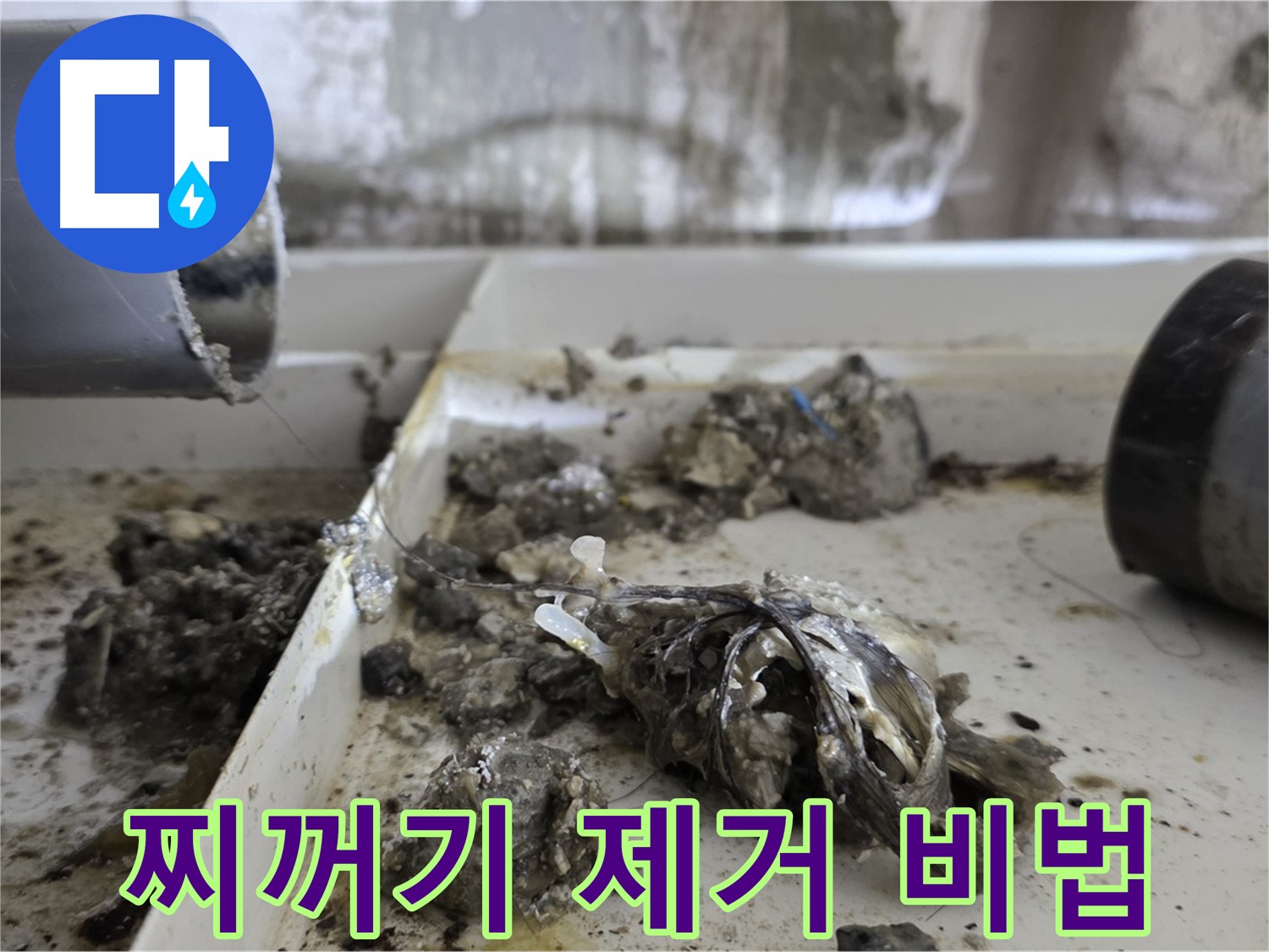 노원구 중계동 라이프청구신동아아파트 - 배관 속 찌꺼기 완벽 제거, 누수 해결 비법
