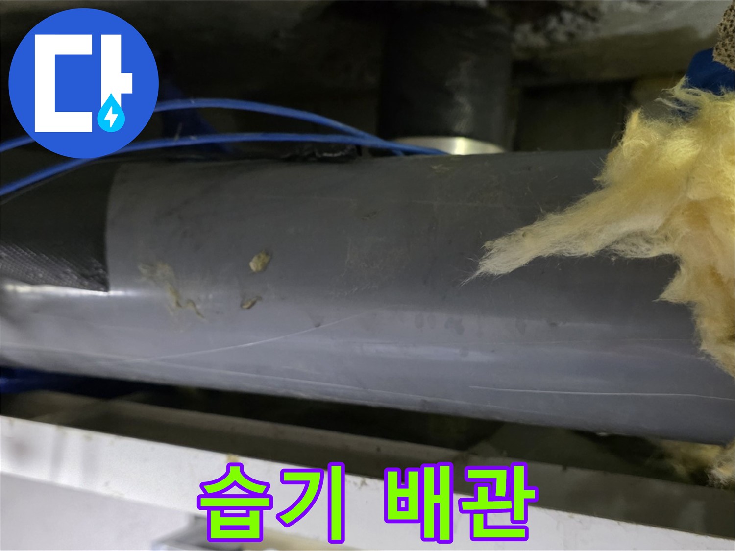 습기 가득한 배관 - 곰팡이 위험